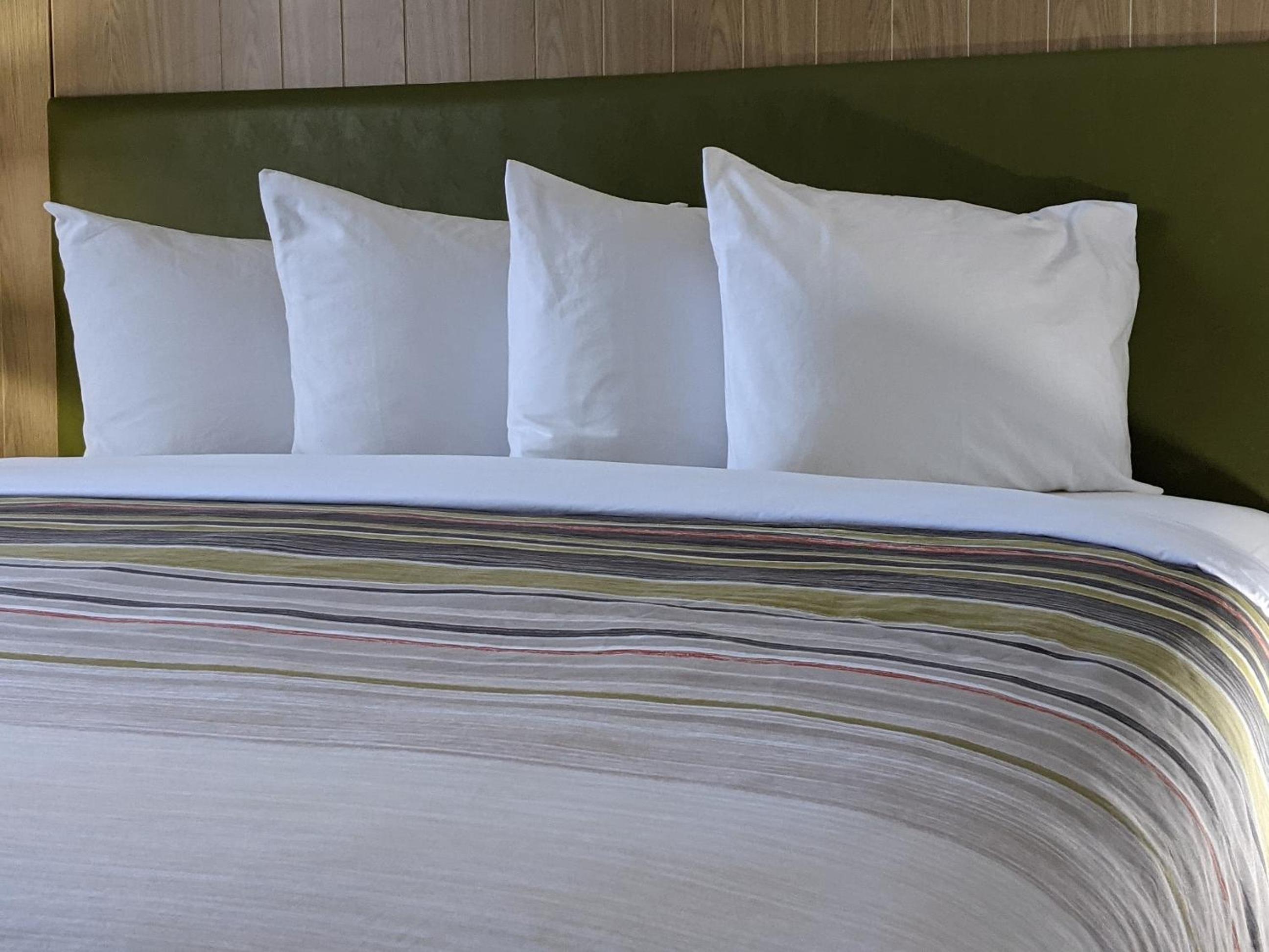 One-Bedroom King Suite with Sofa Bed - Non-Smoking - Photo 10