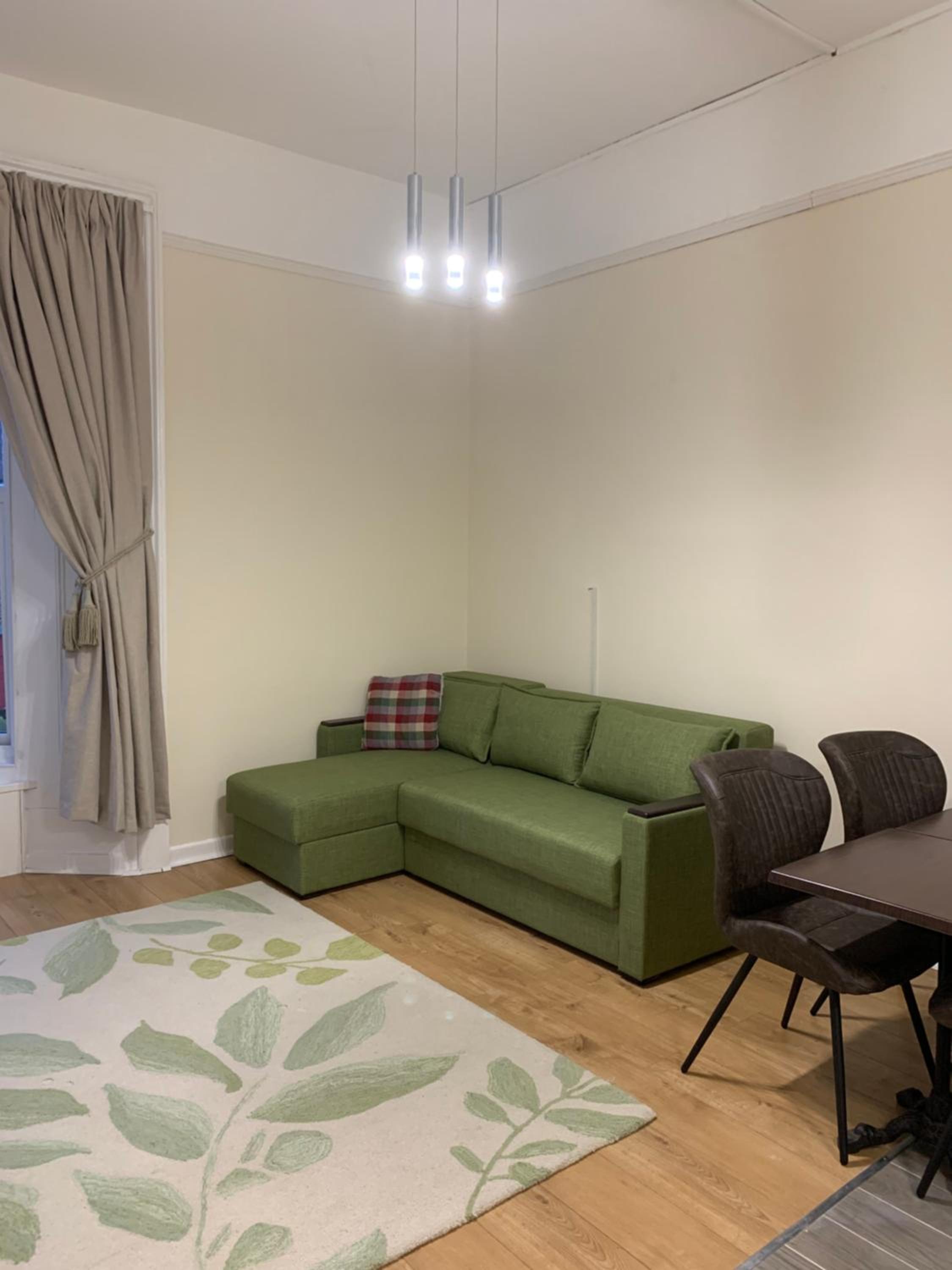 One-Bedroom Apartment photo 2