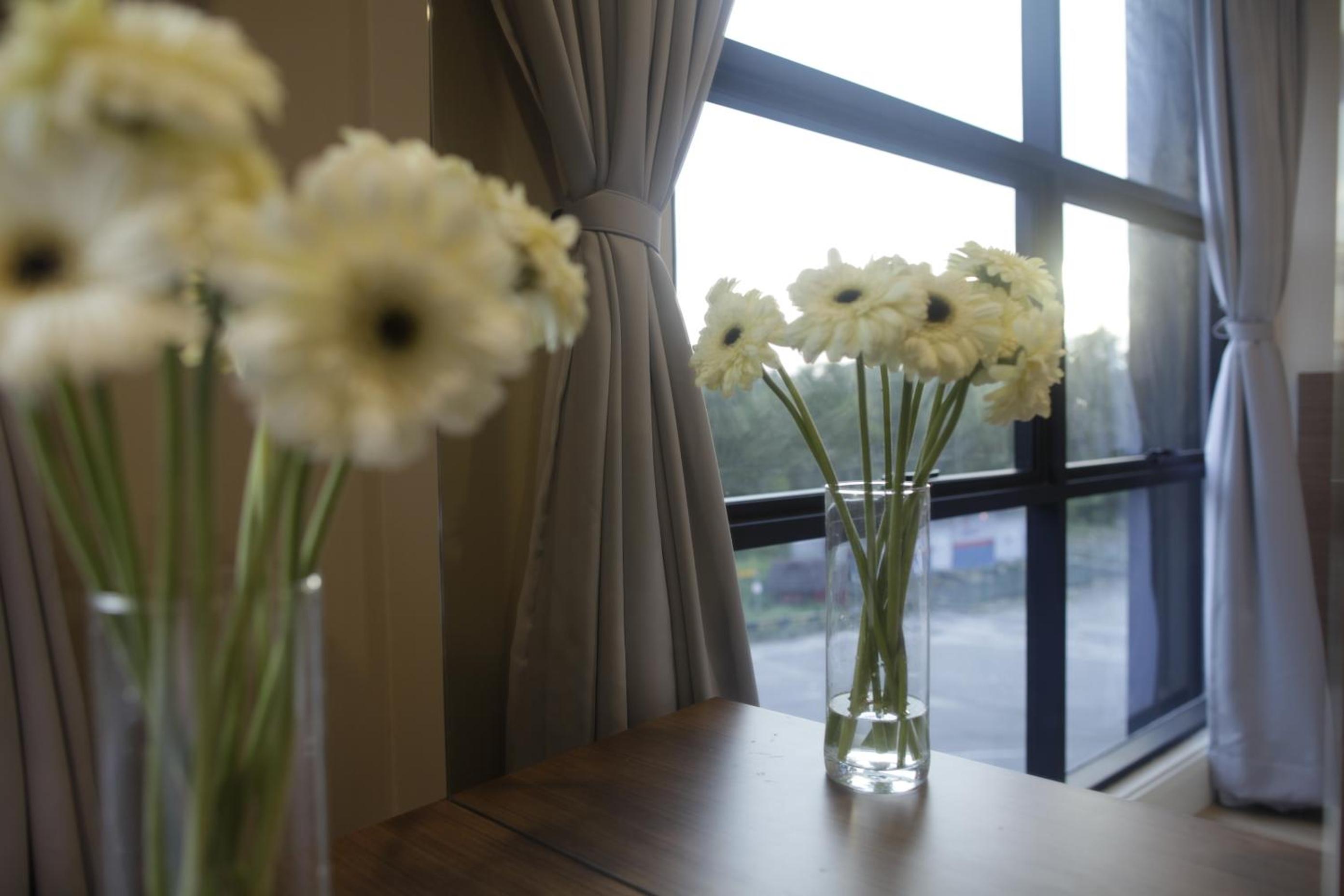 Family Suite photo 3
