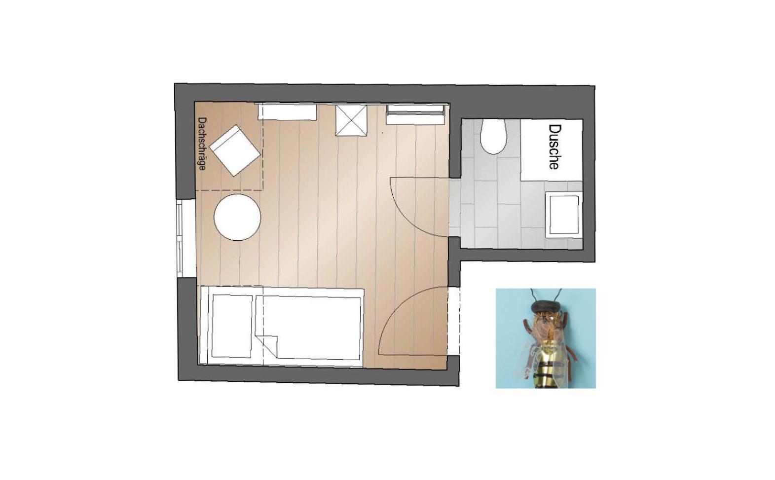 Single Room - Disability Access photo 3