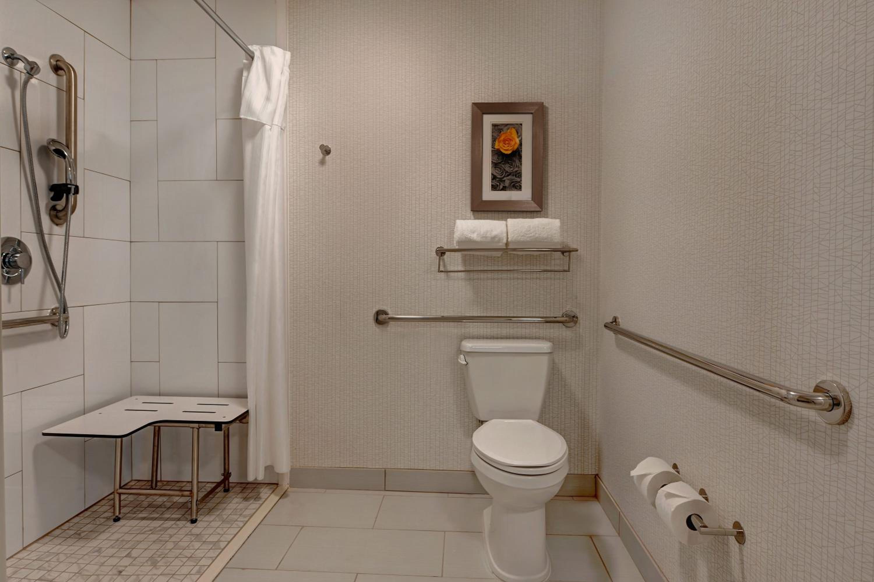 King Studio Suite - Mobility Access/Non-Smoking - Photo 3