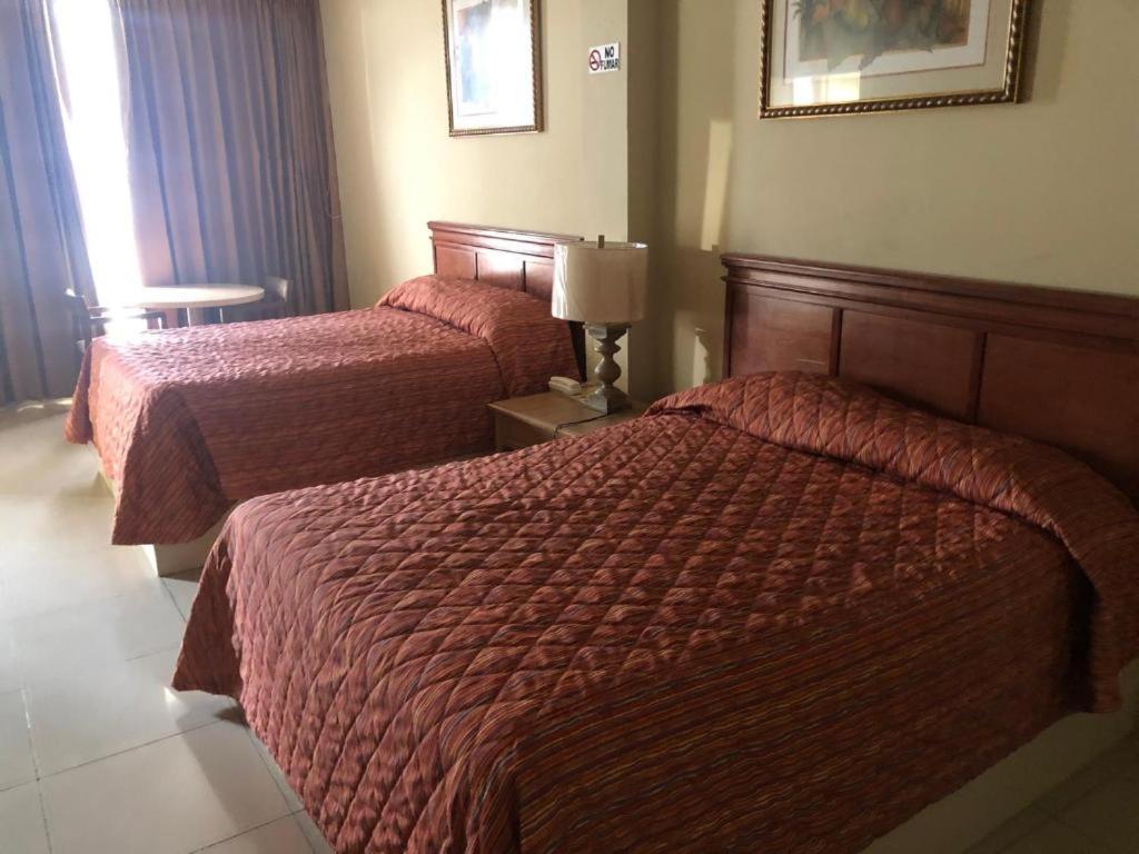 Twin Room photo 3