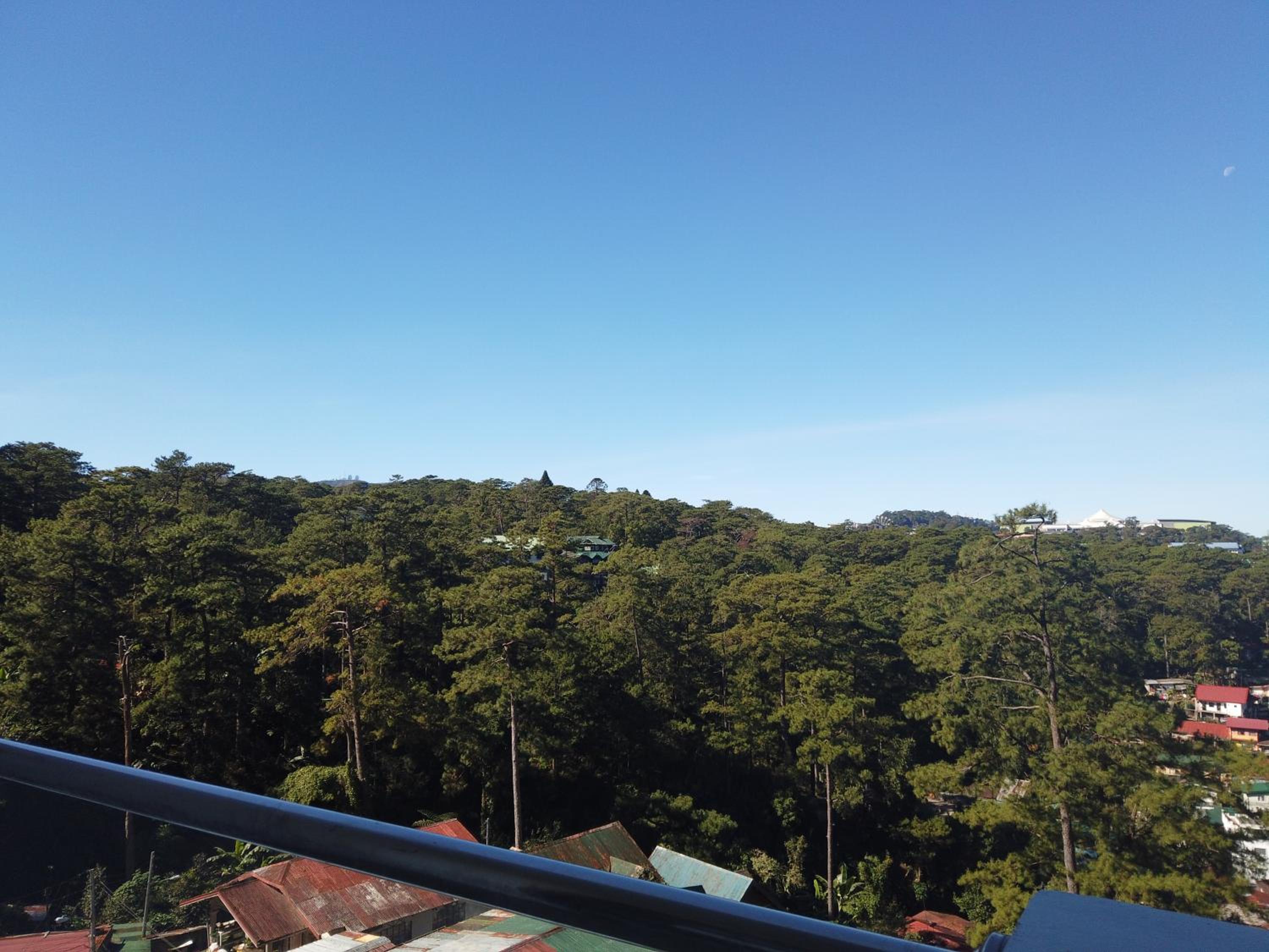 Deluxe Pines View - Photo 4