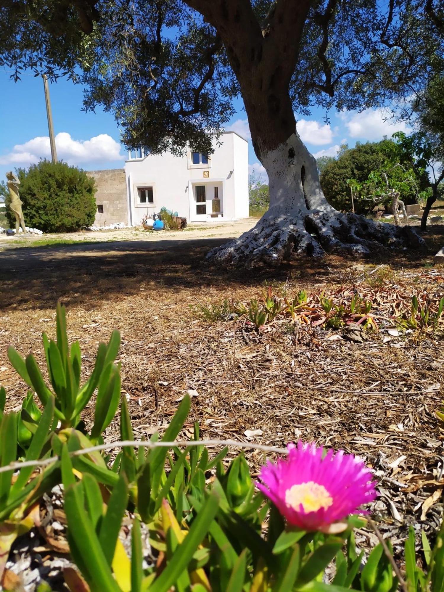 Villa photo 2