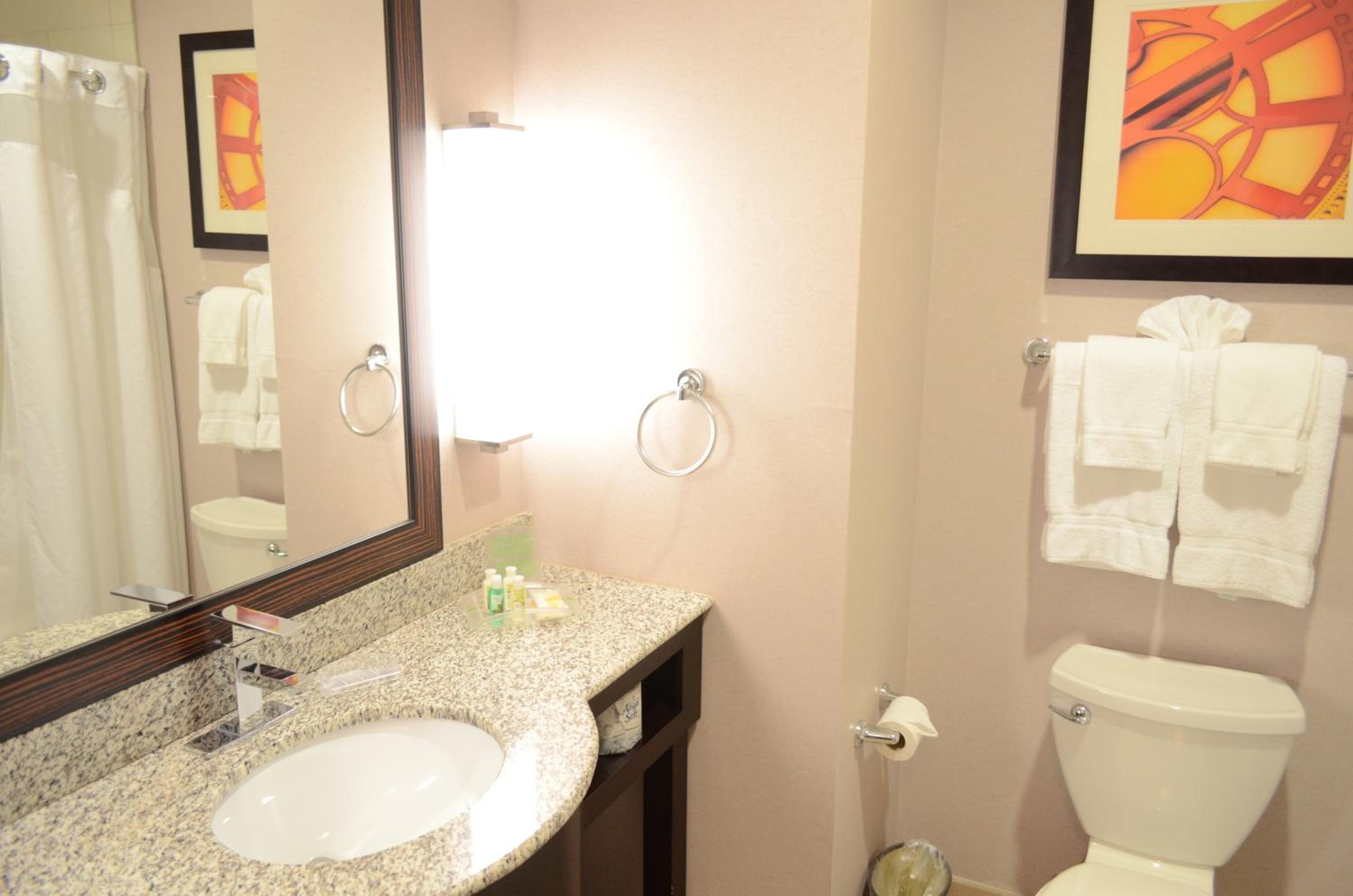 Standard King Room with Roll-In Shower - Communications Access - Photo 9