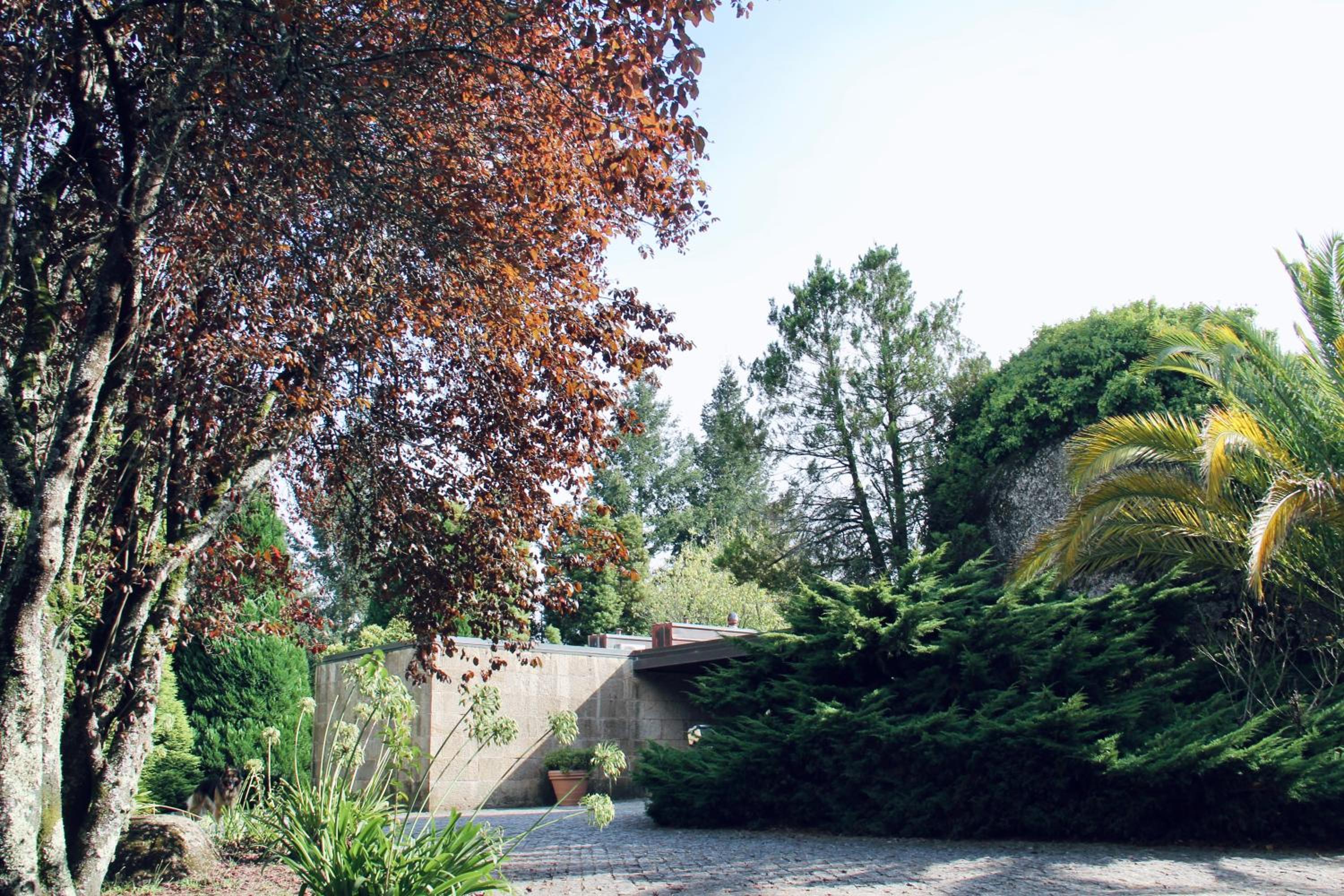 Villa photo 3