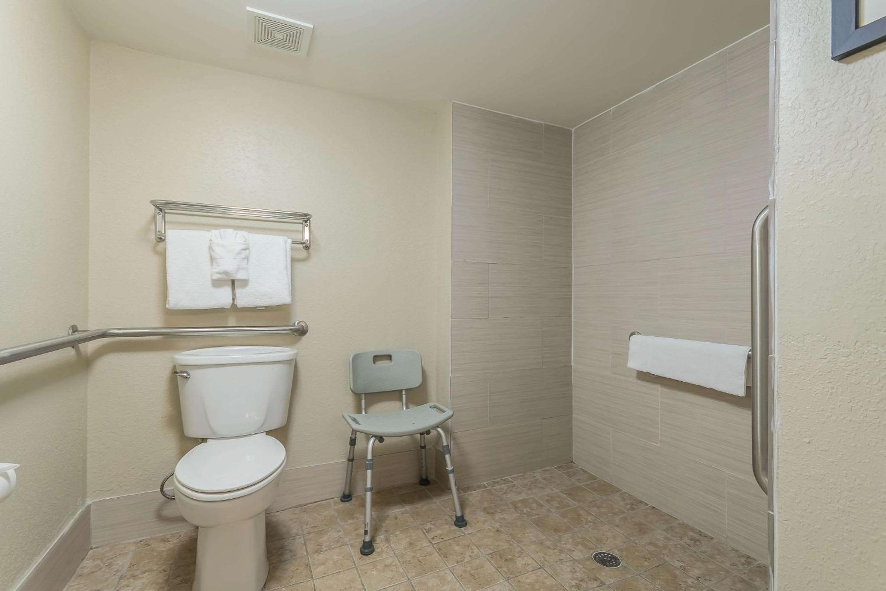King Room with Roll-In Shower - Accessible/Non-Smoking - Photo 4