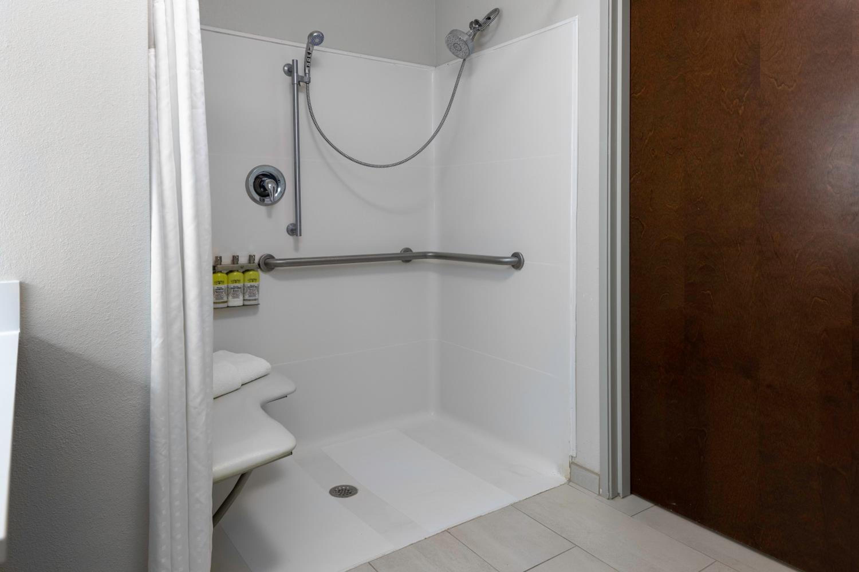 King Room - Disability Access Roll in Shower - Photo 4