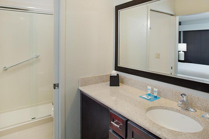 One-Bedroom King Suite - Photo 6