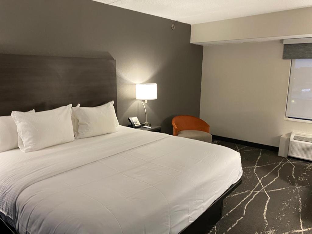 Standard King Room - Non Smoking - Photo 1