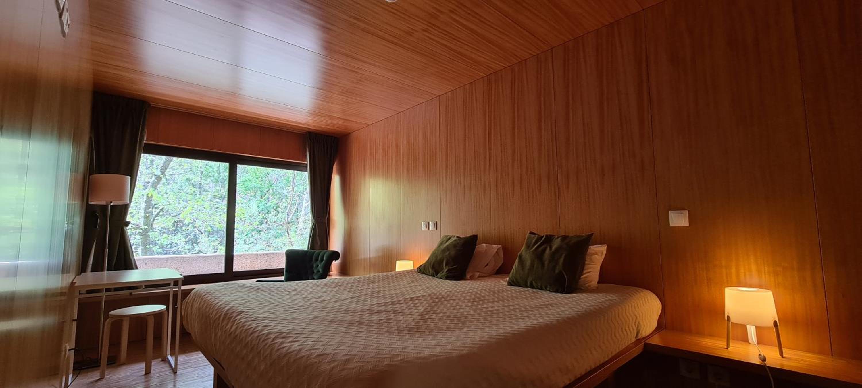 Deluxe Double or Twin Room photo 2