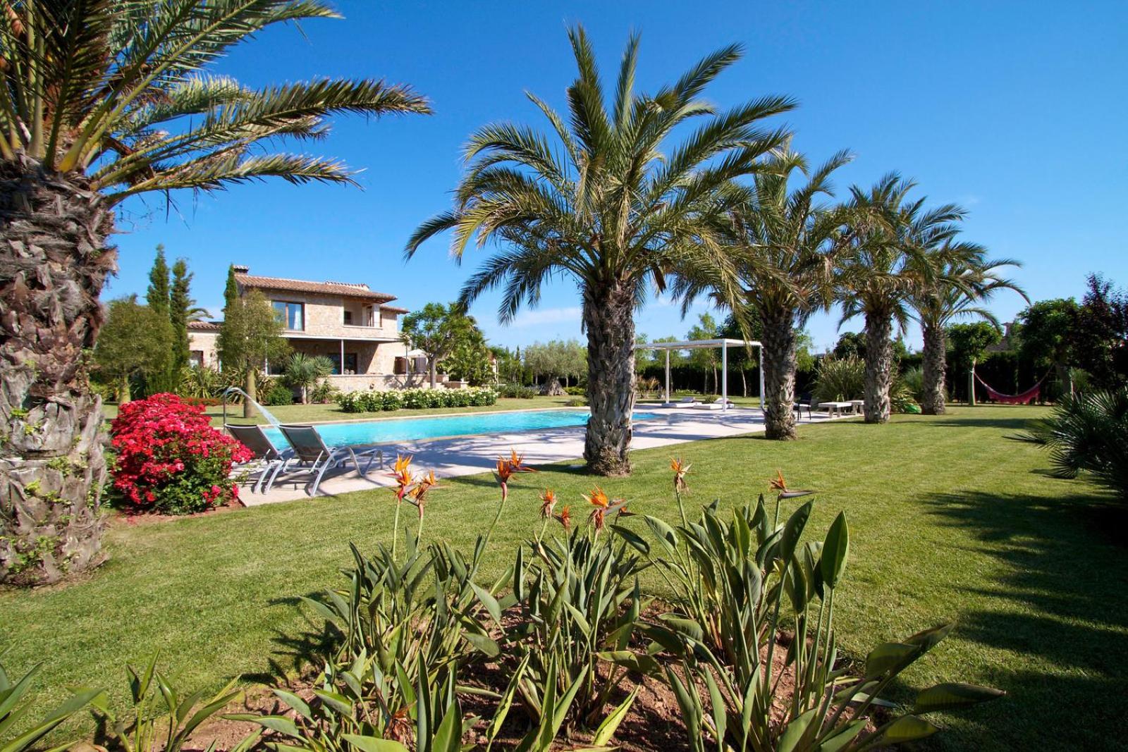 Deluxe Villa photo 2