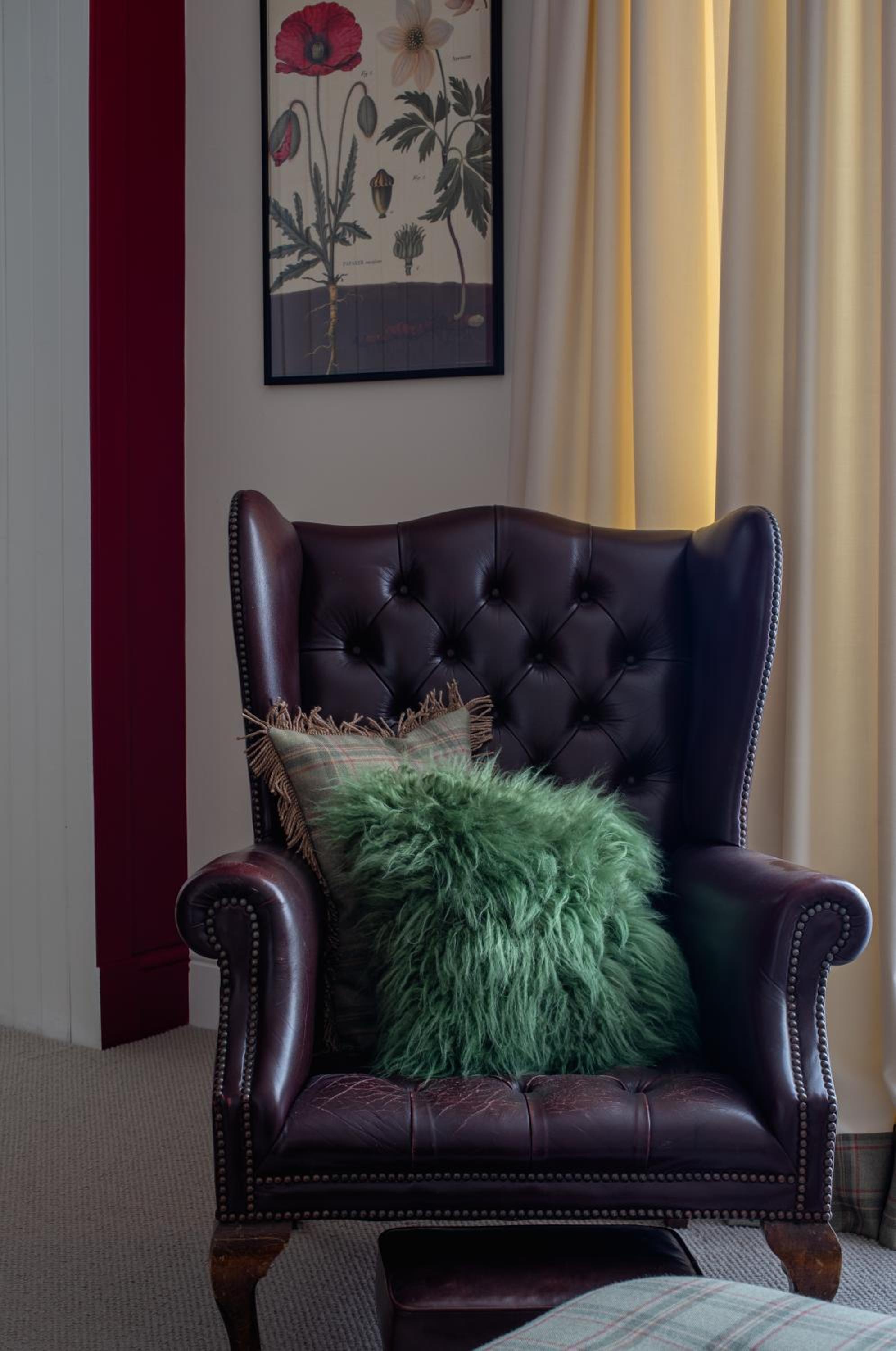 Suite - Photo 3