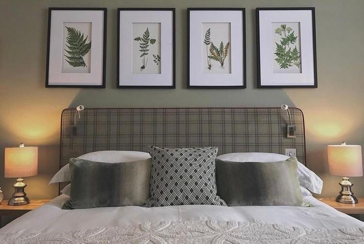 Suite - Photo 1