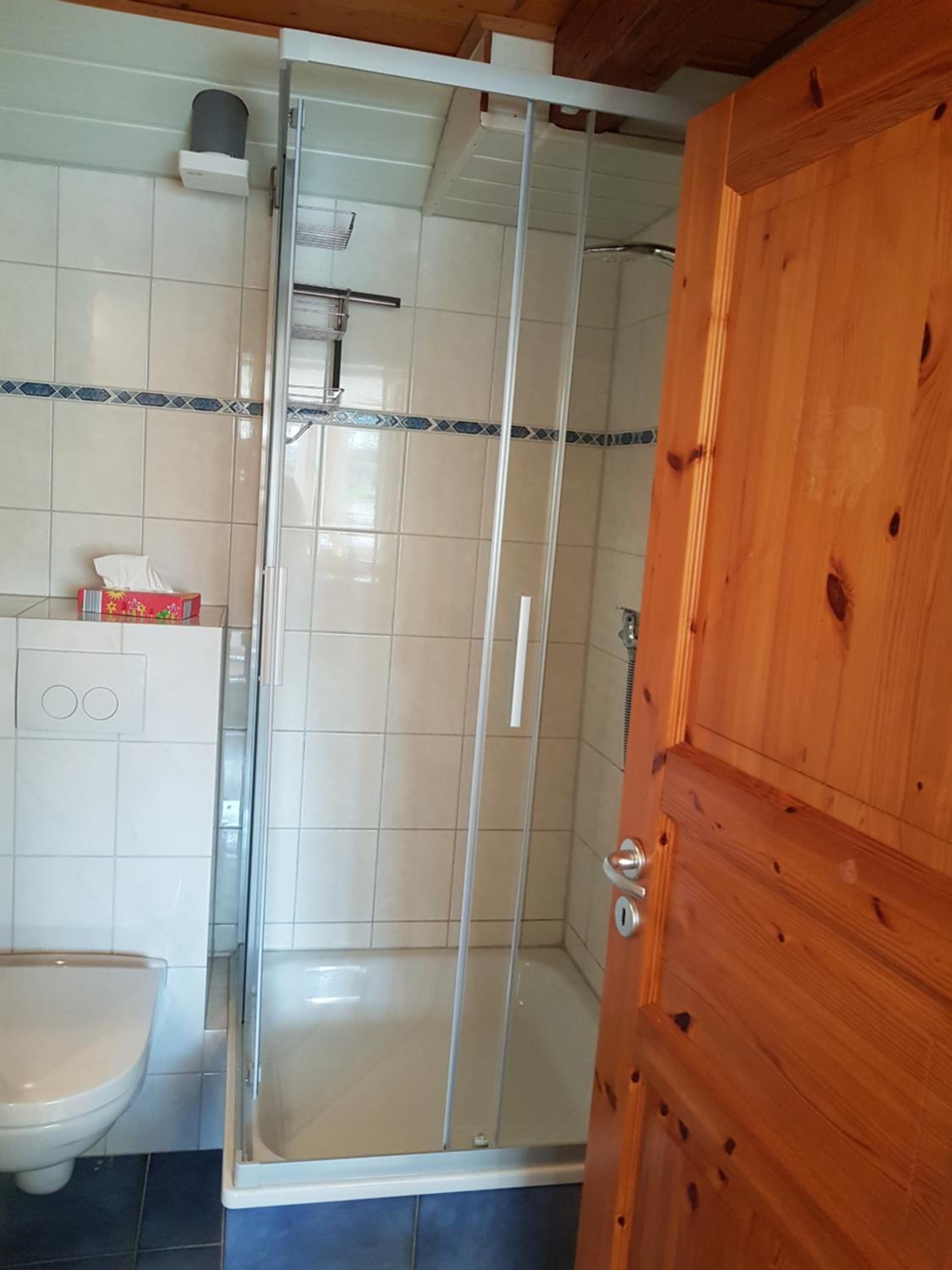 Duplex Apartment photo 2