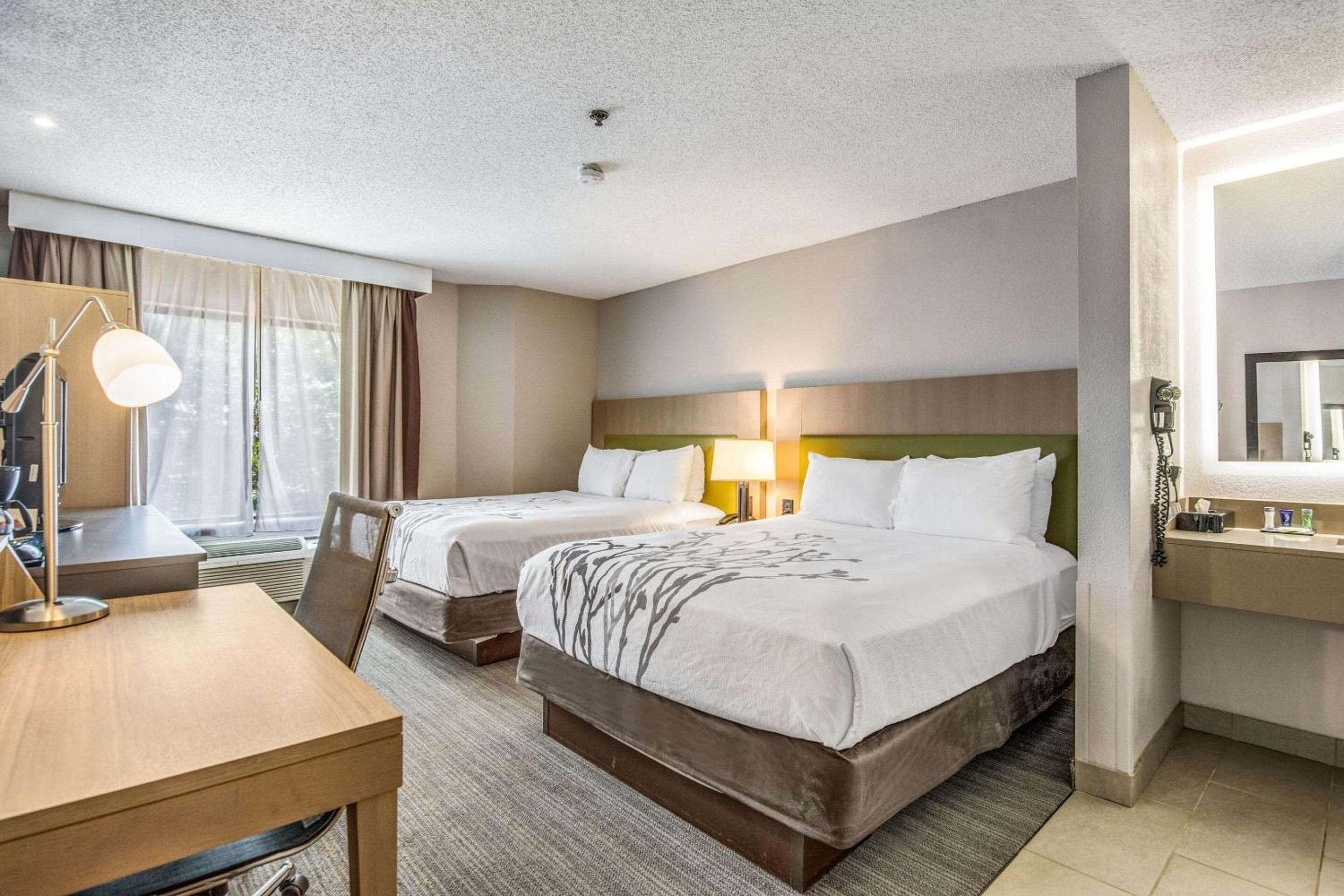 Queen Room with Two Queen Beds