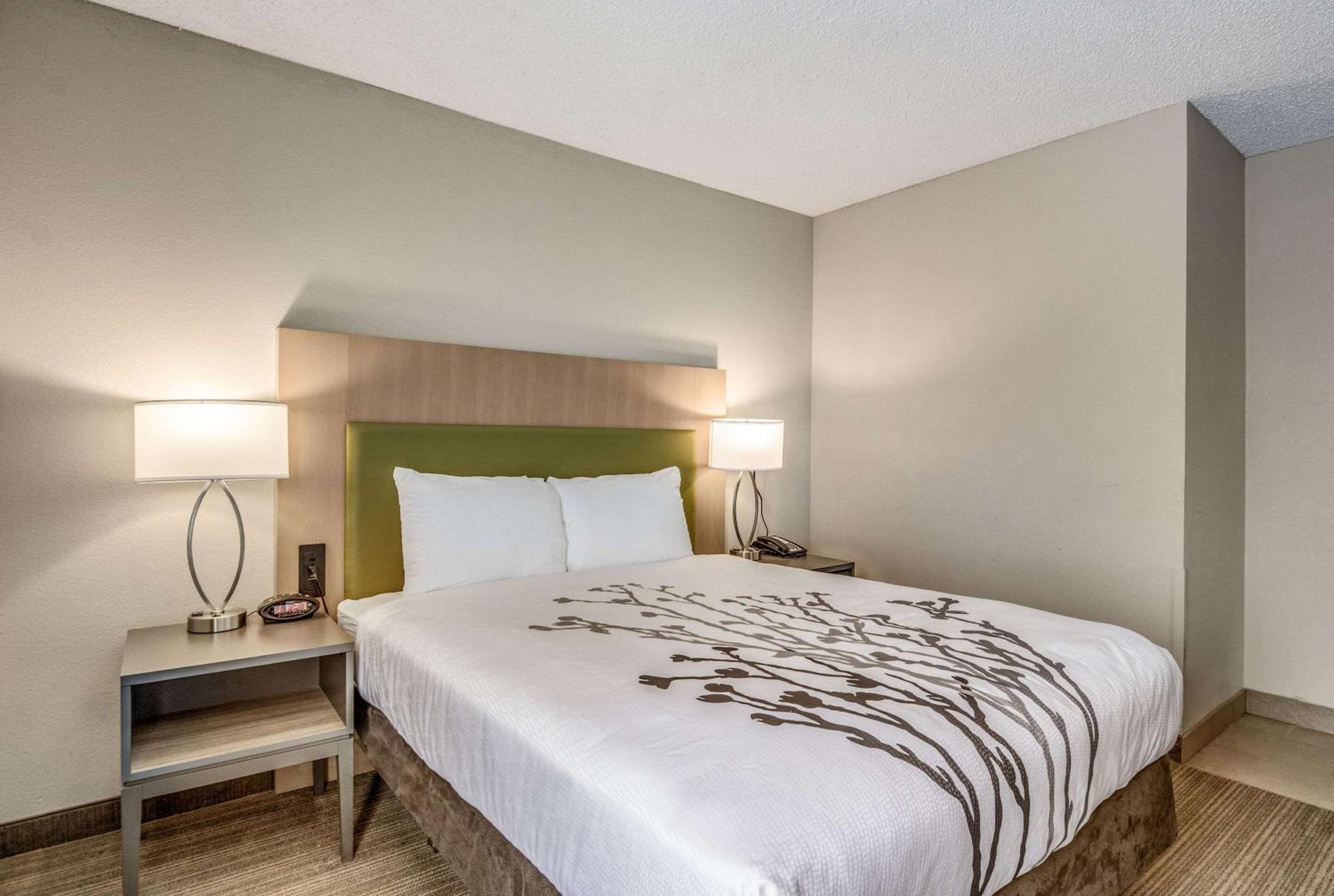 Sleep Inn Fort Mill near Carowinds Blvd, Photo 3