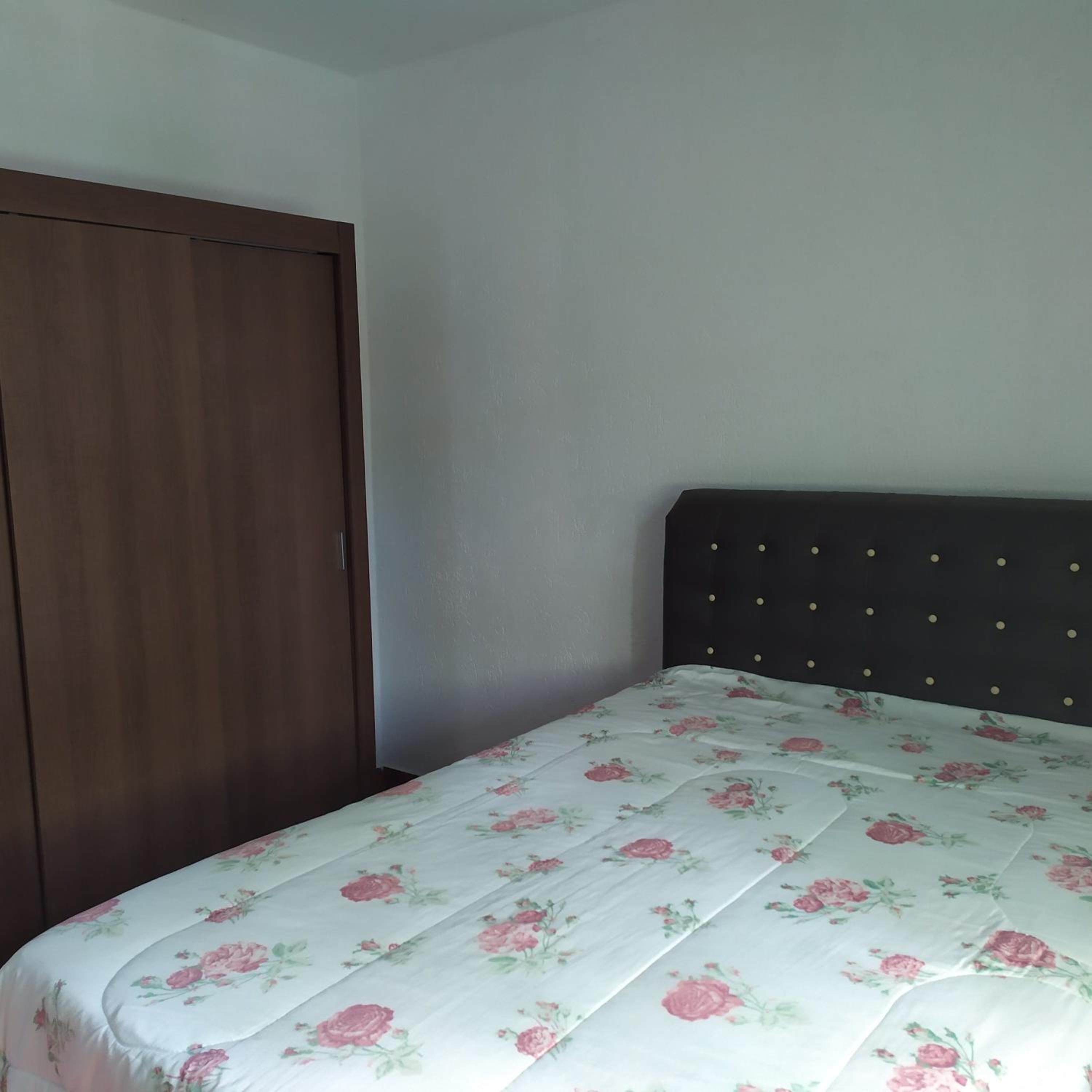 Standard Double Room with Fan photo 1