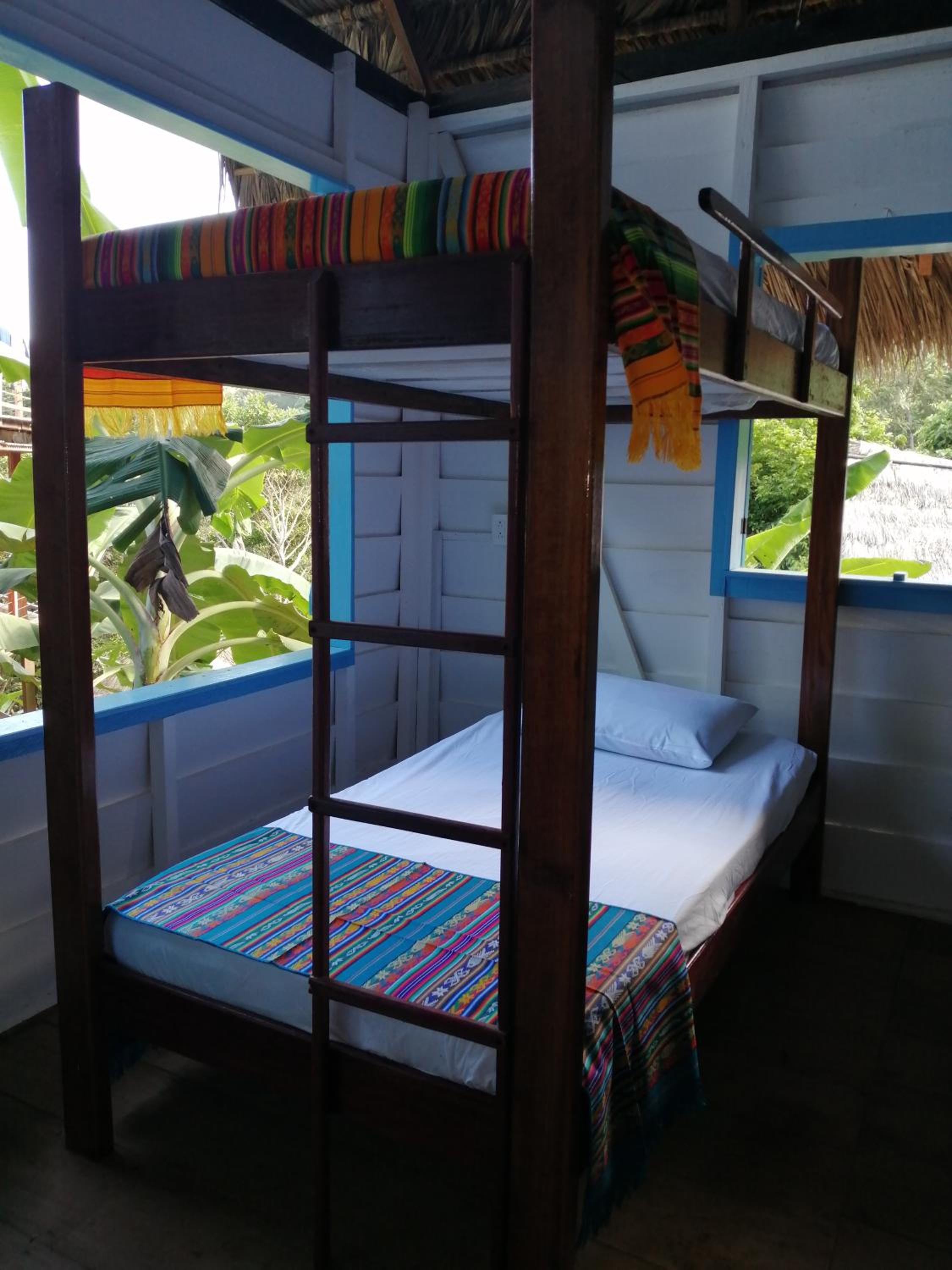 Bunk Bed in Mixed Dormitory Room photo 1