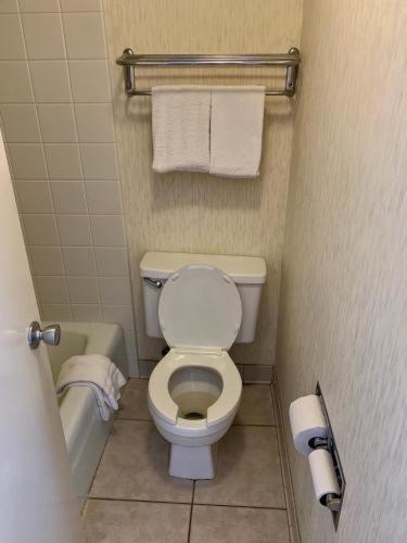 1 King Bed, Deluxe Room, Jetted Tub, Non-Smoking - Photo 6