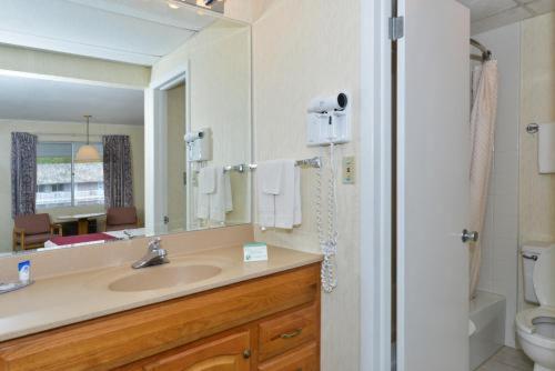 1 King Bed, Deluxe Room, Jetted Tub, Non-Smoking - Photo 4