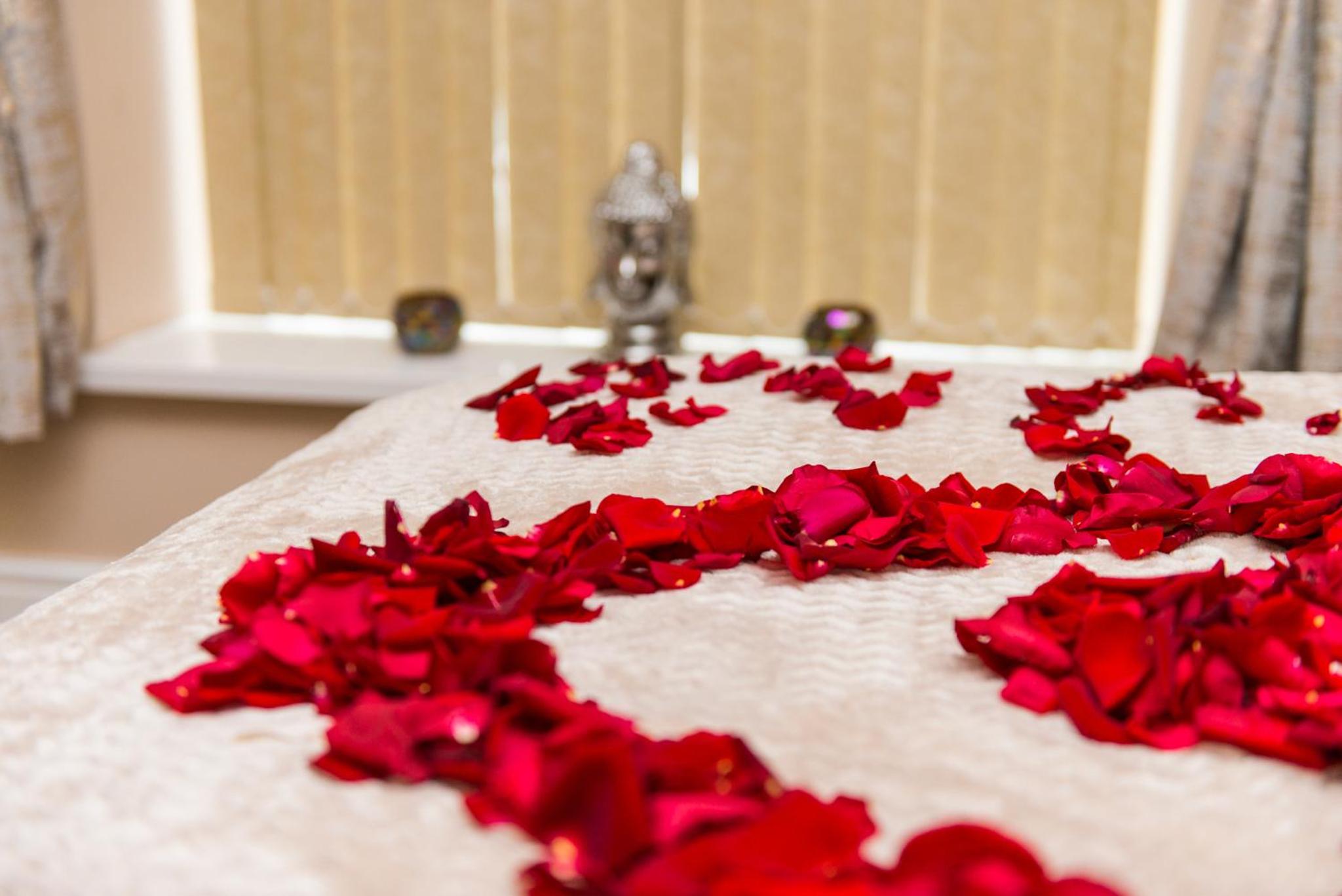 Executive Suite - Photo 24