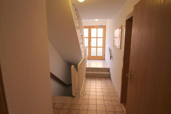 Apartment with Terrace photo 2