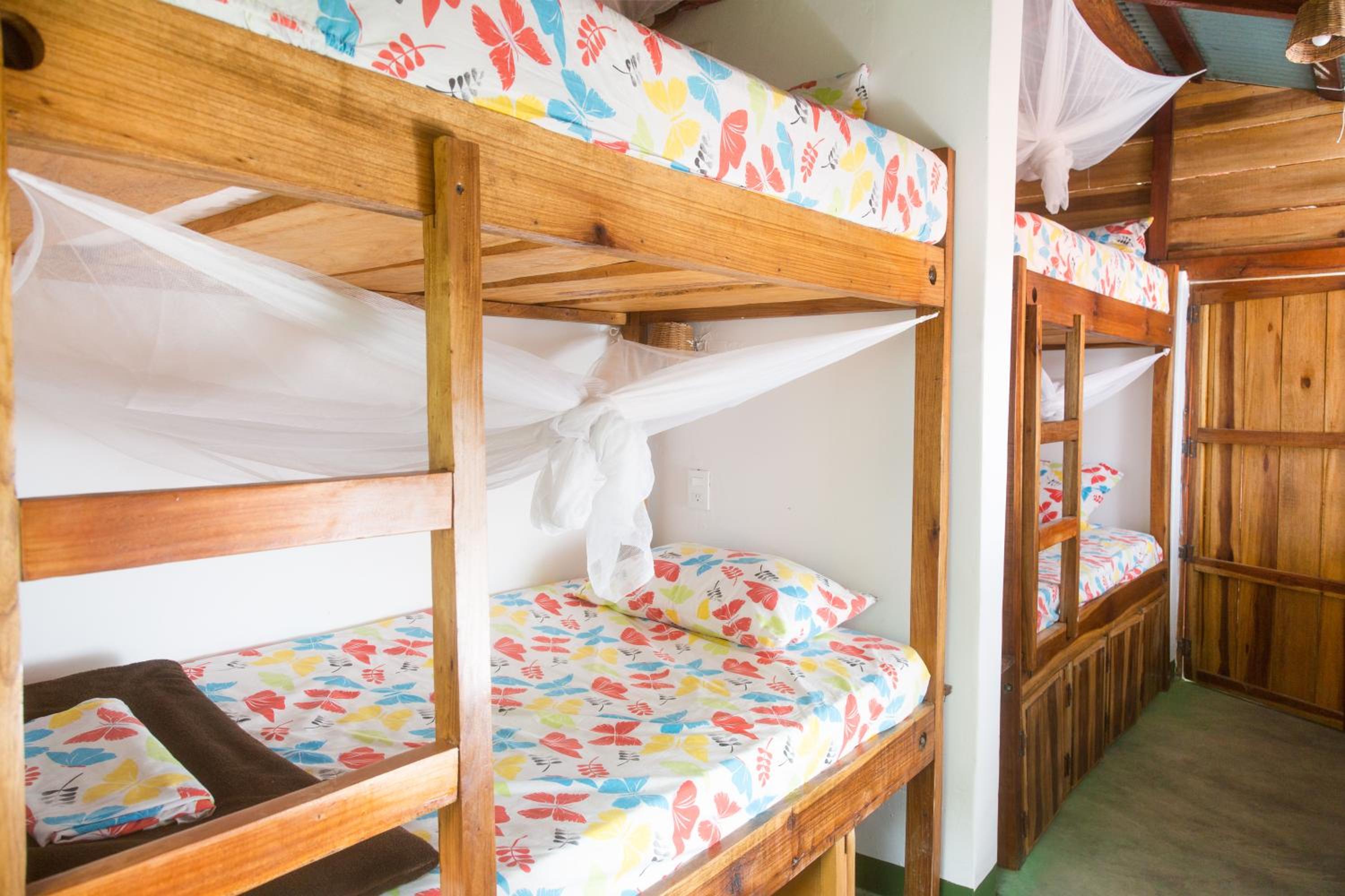 Bunk Bed in Mixed Dormitory Room photo 3