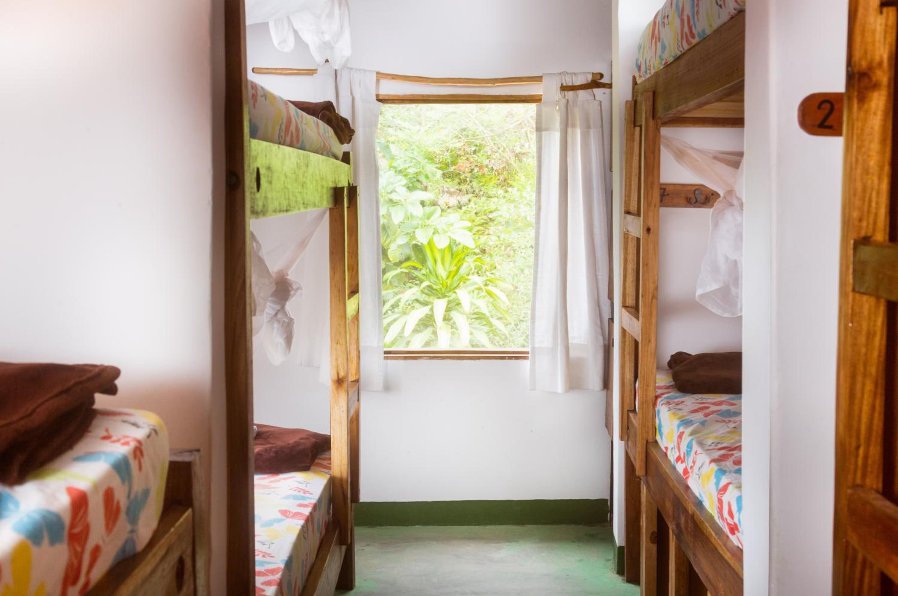 Bunk Bed in Mixed Dormitory Room photo 1