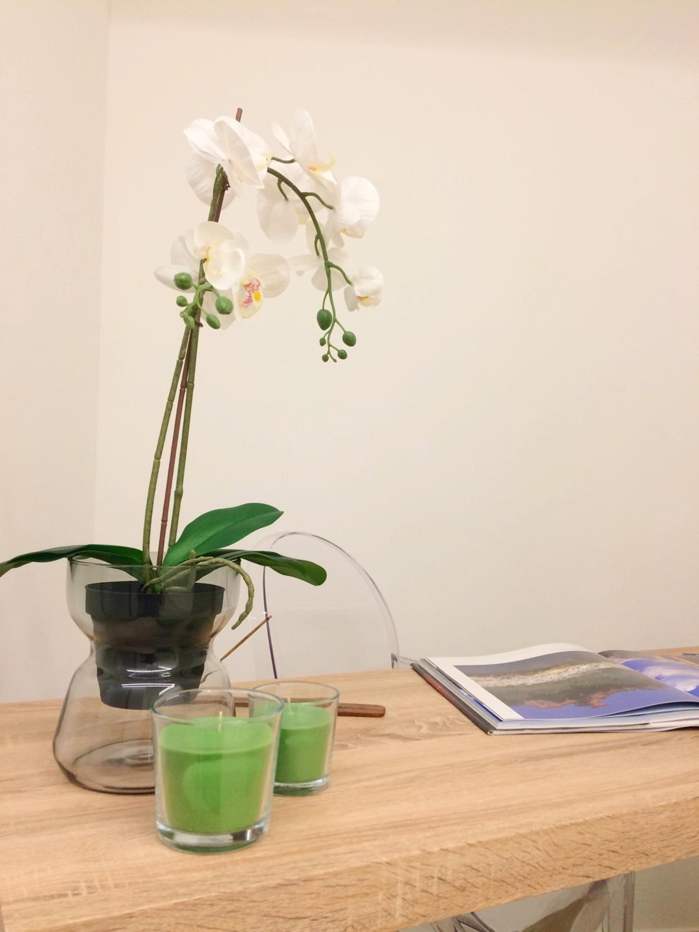 One-Bedroom Apartment - Photo 24