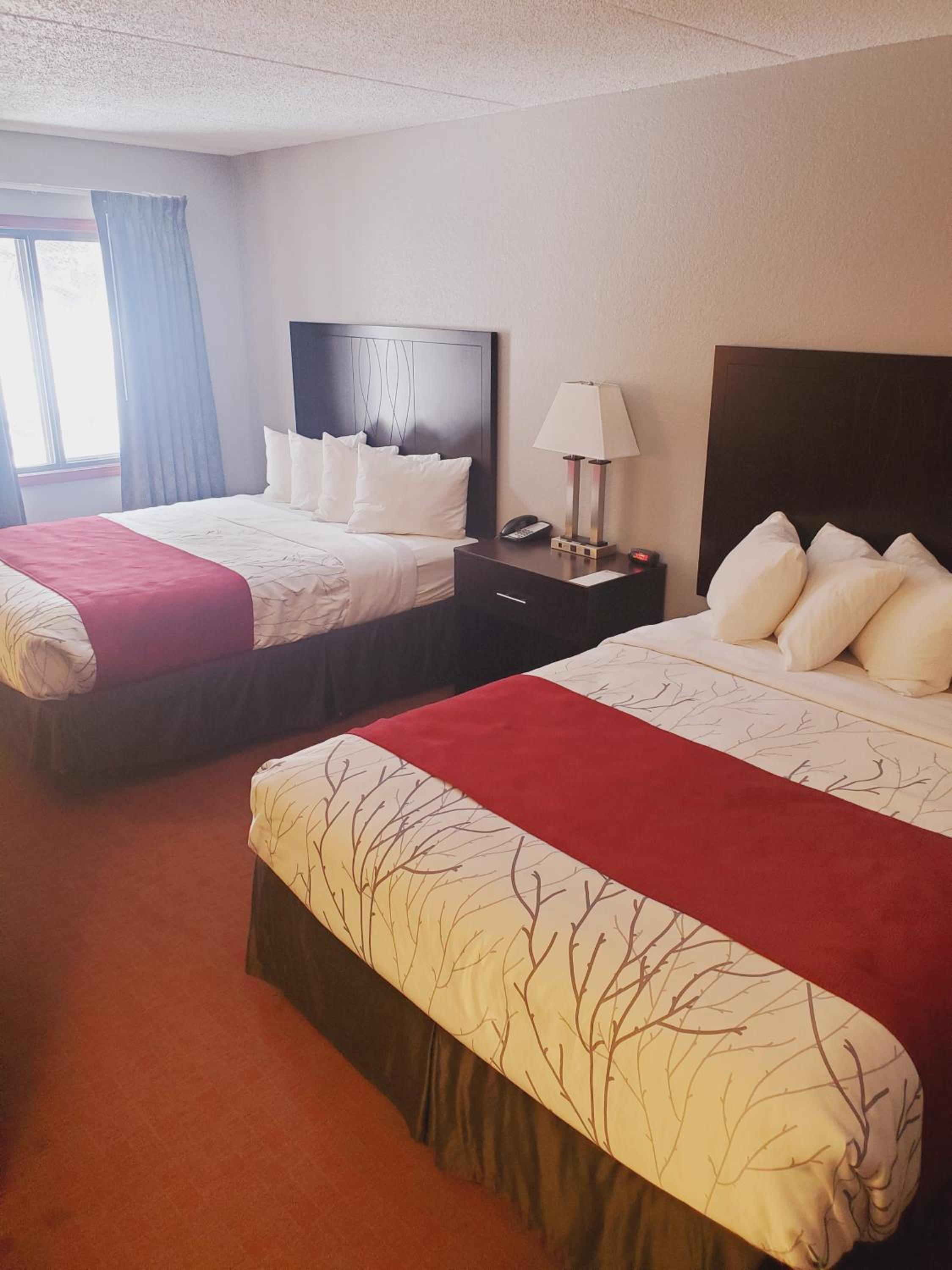 Queen Room with Two Queen Beds - Pet Friendly - Photo 4