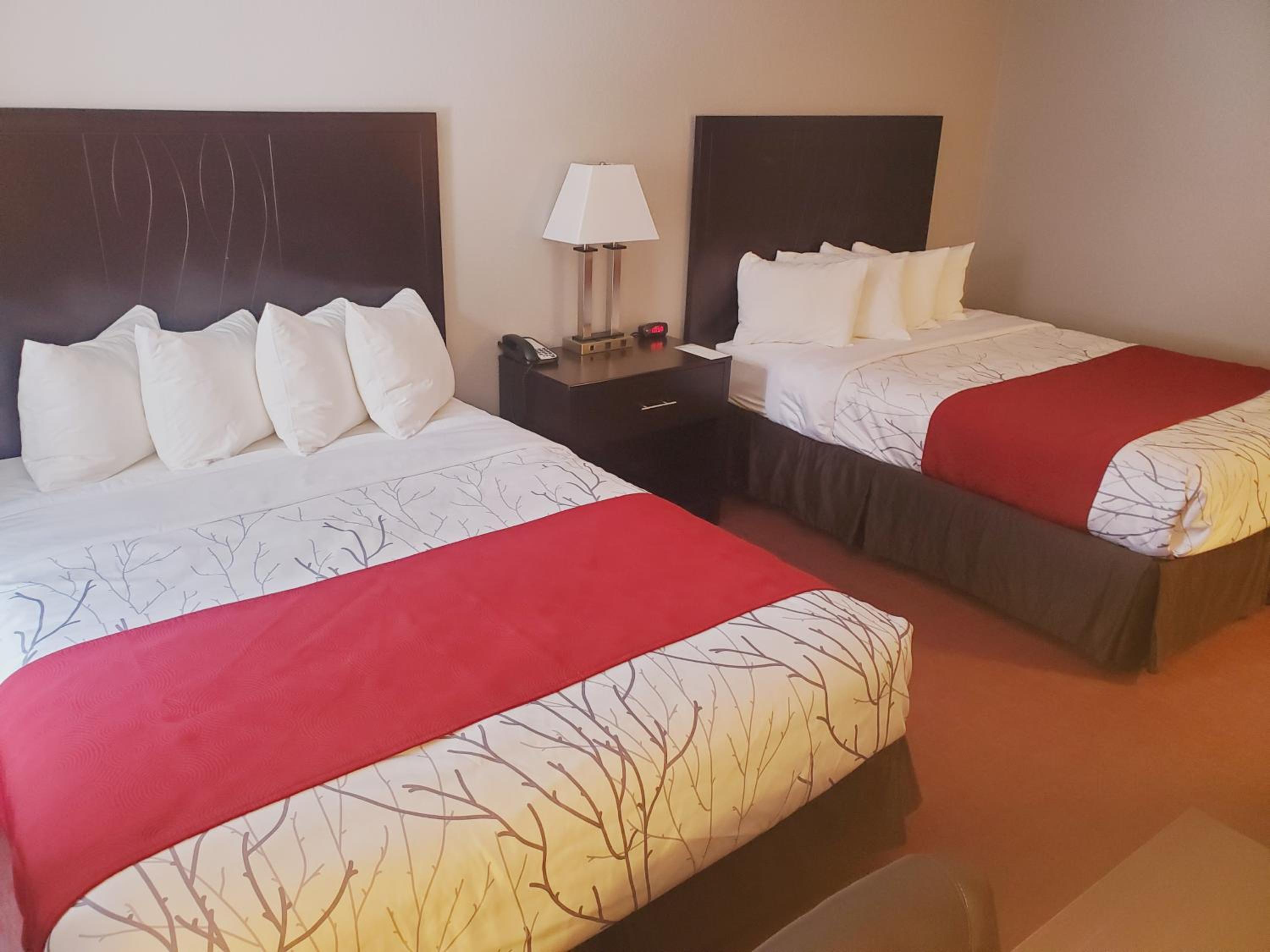 Queen Room with Two Queen Beds - Pet Friendly - Photo 3