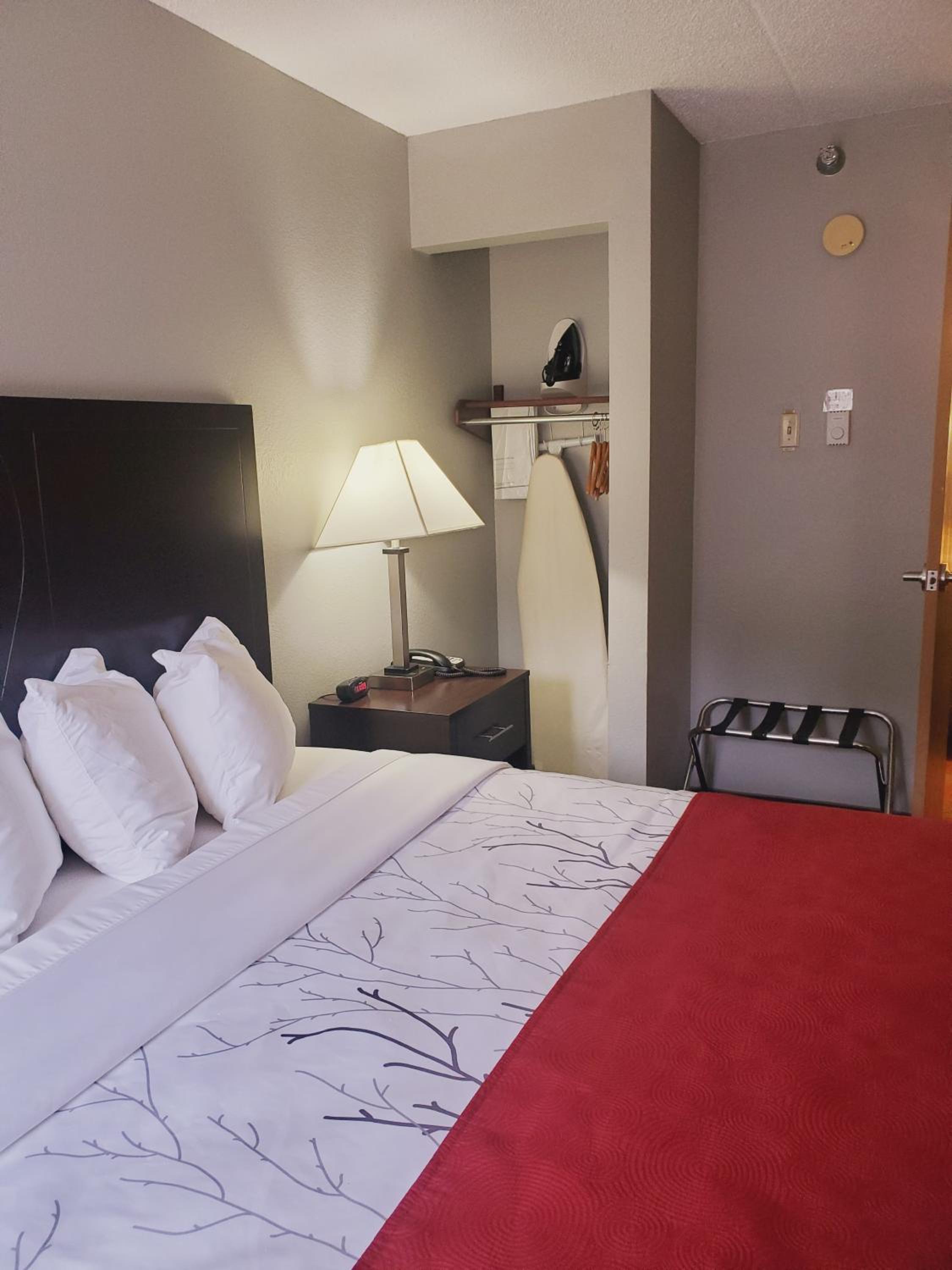 King Room - Photo 2