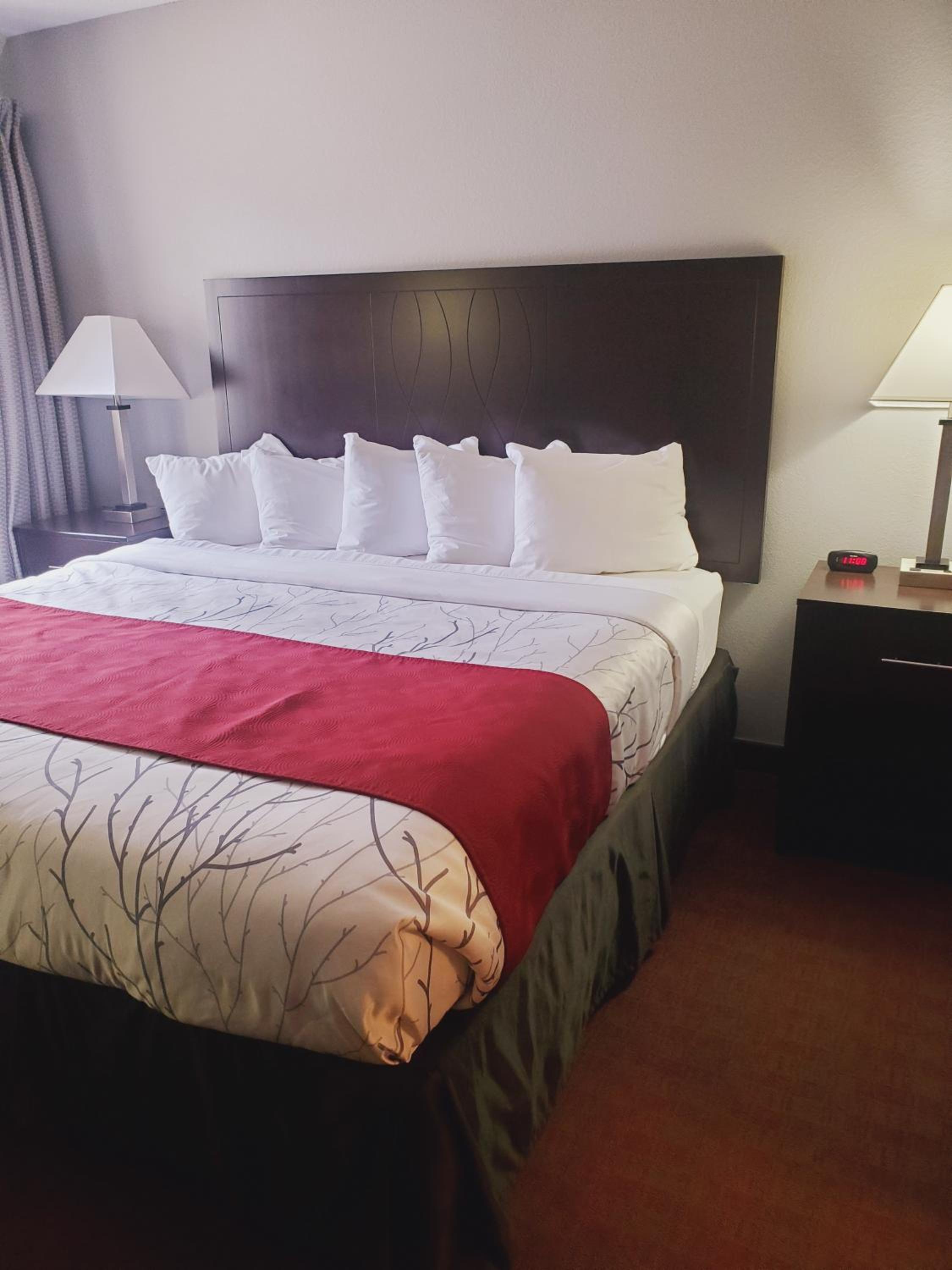 King Room - Photo 3