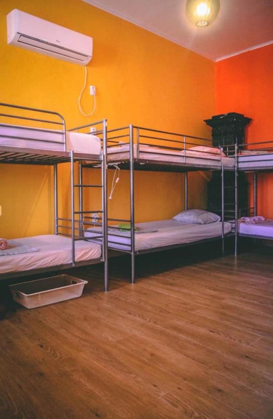 Bed in 4-Bed Dormitory Room