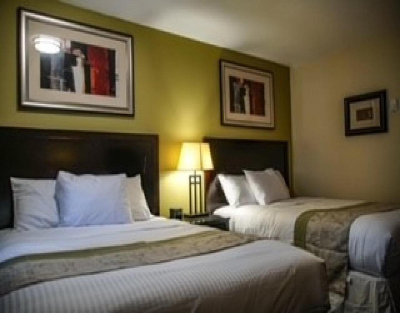 Standard Queen Room photo 1