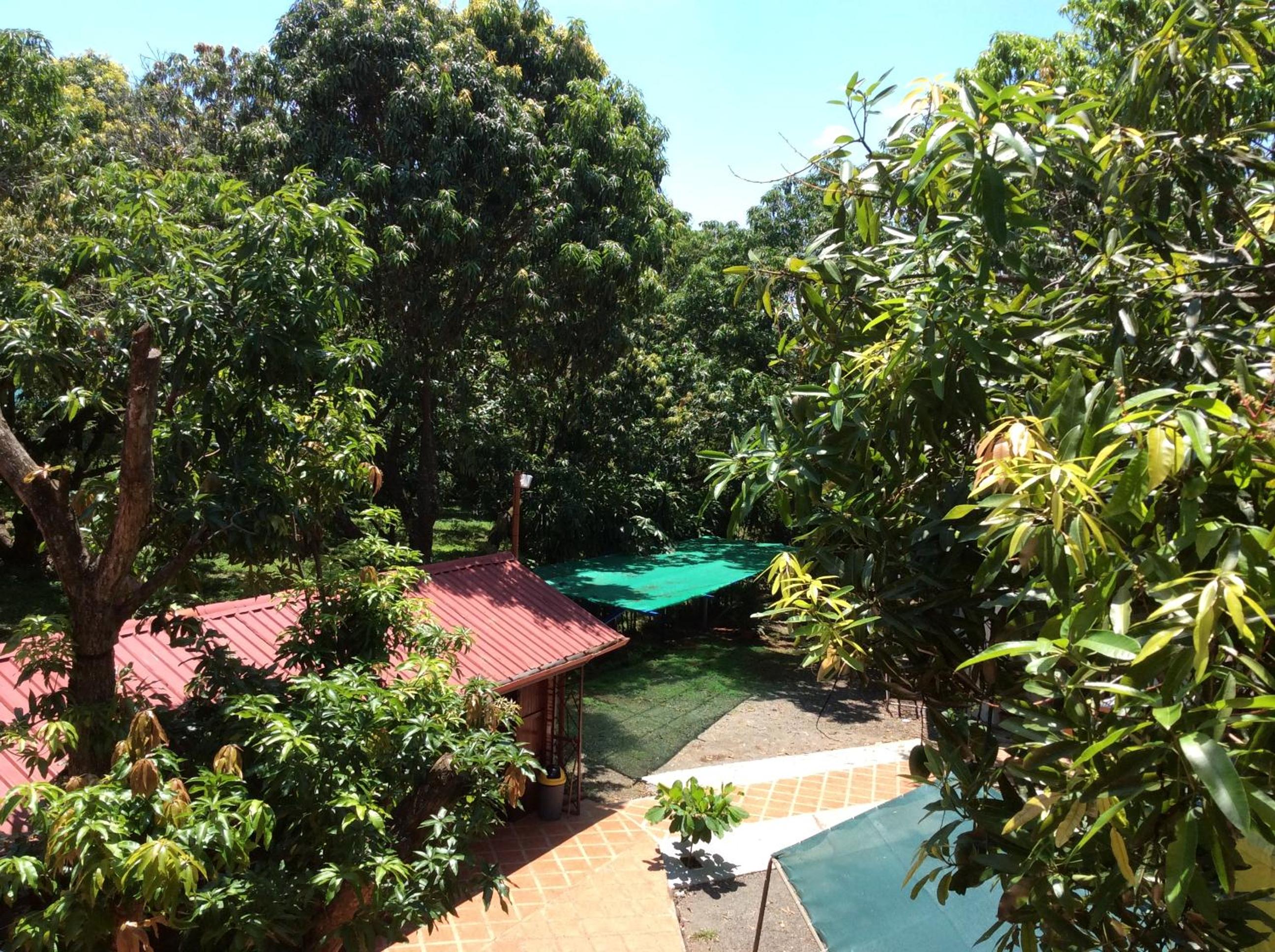Double Room With Balcony photo 3