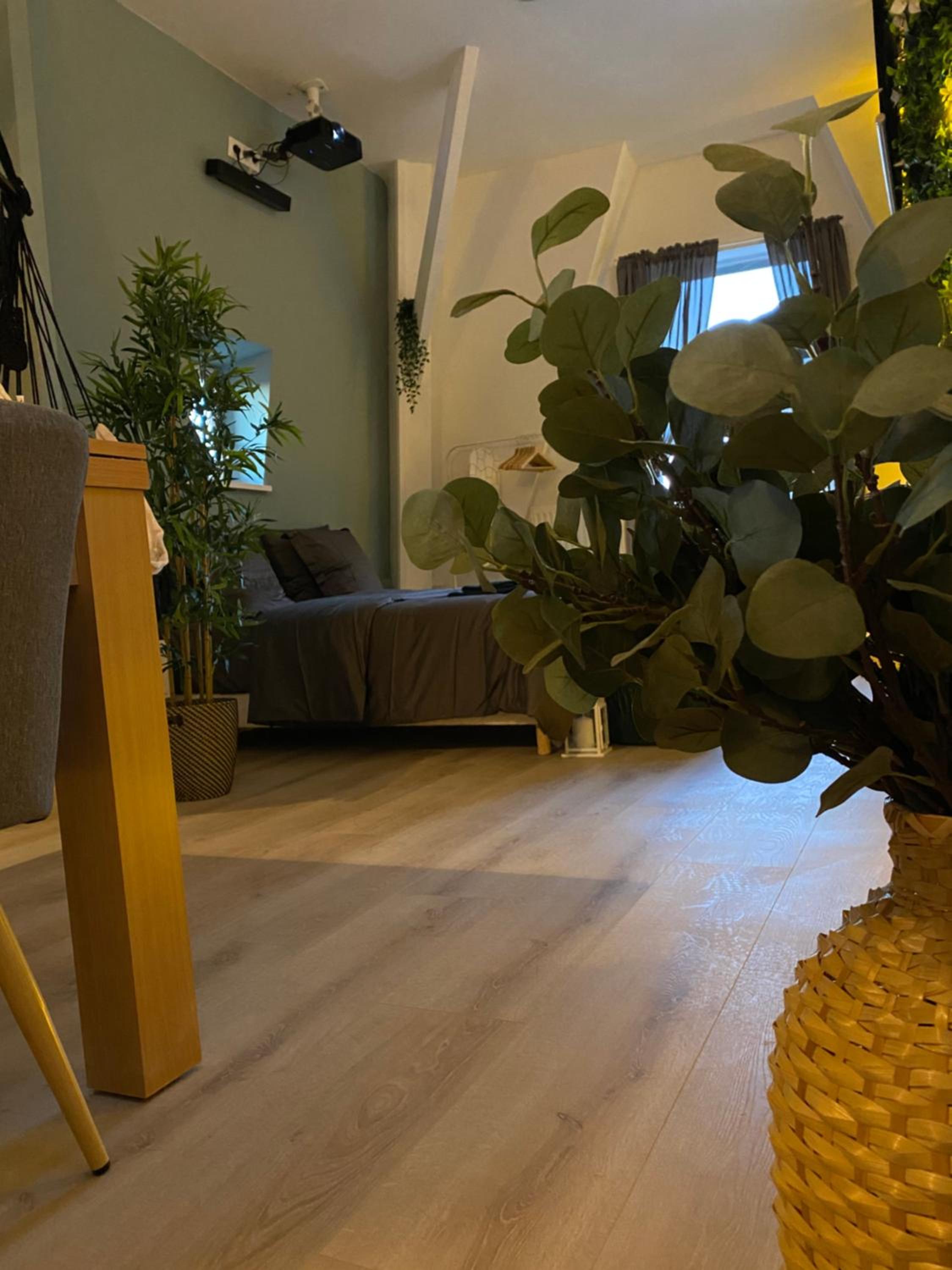 One-Bedroom Apartment - Photo 10
