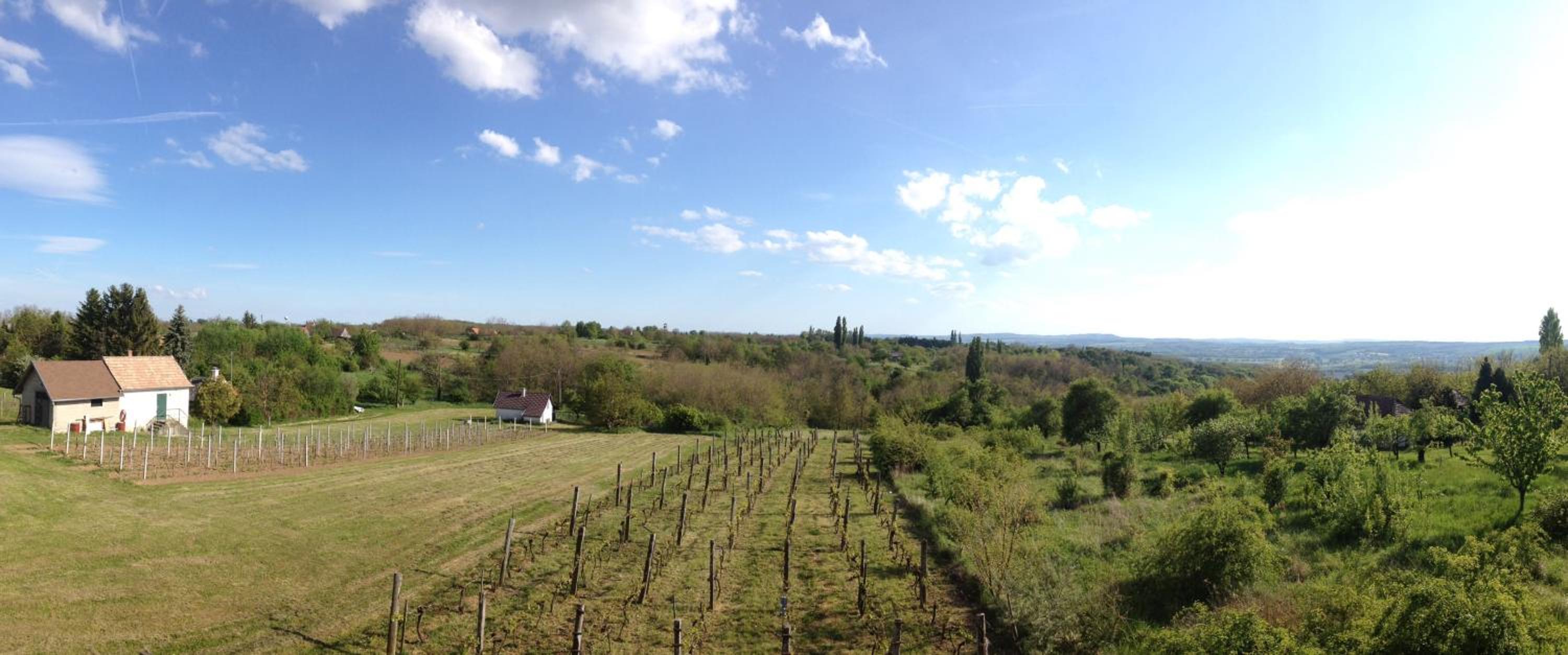 Apartment with Garden View photo 3