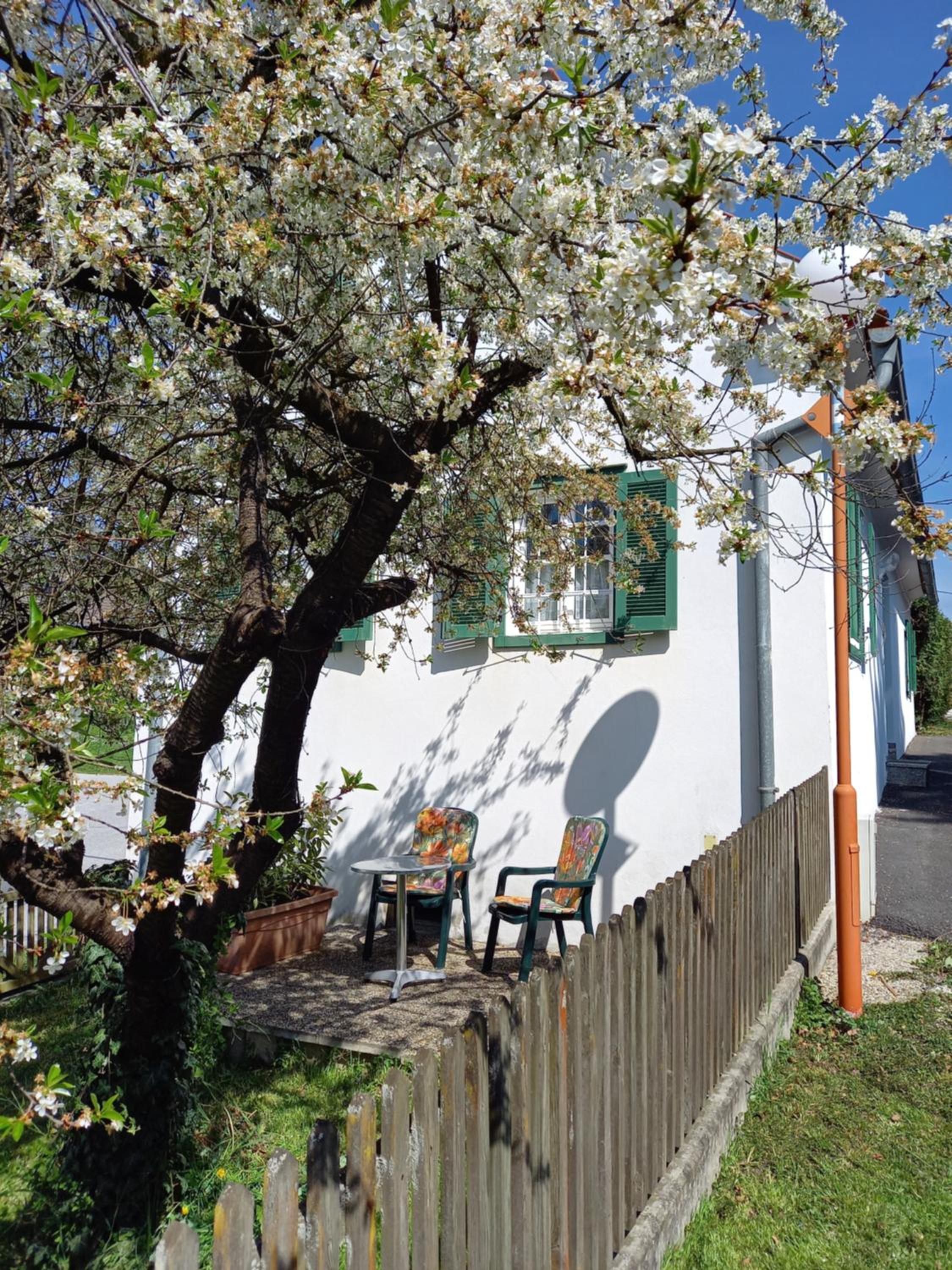 Vacation Home photo 2