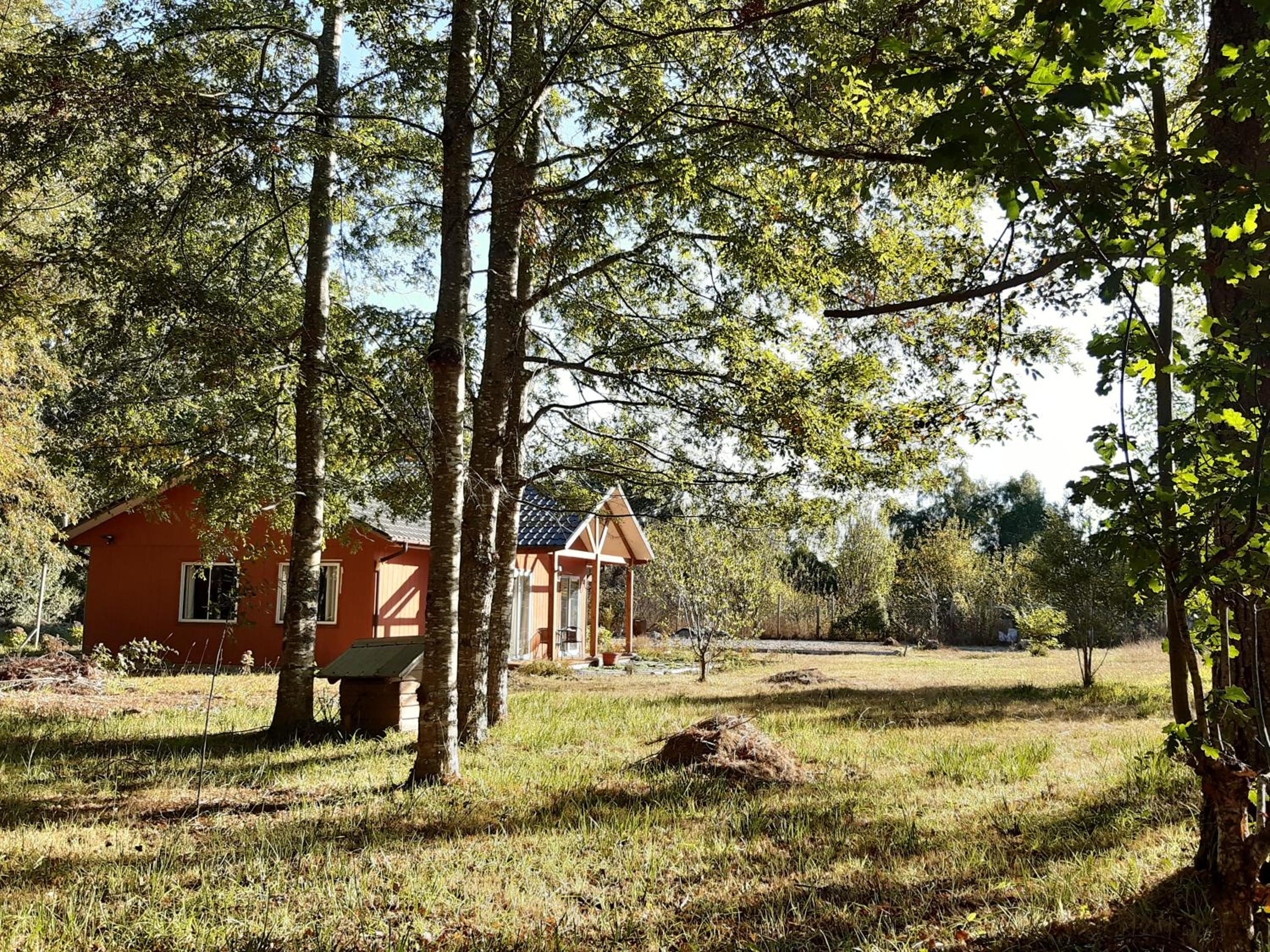 Bungalow with Patio photo 1