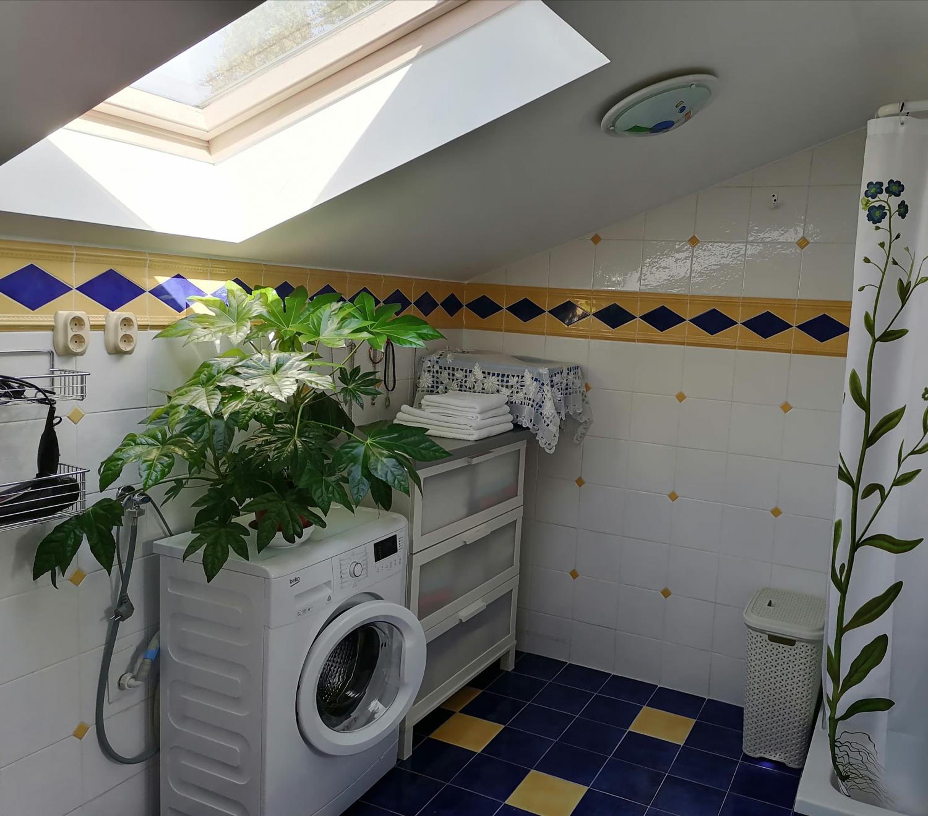 Apartment - Photo 17