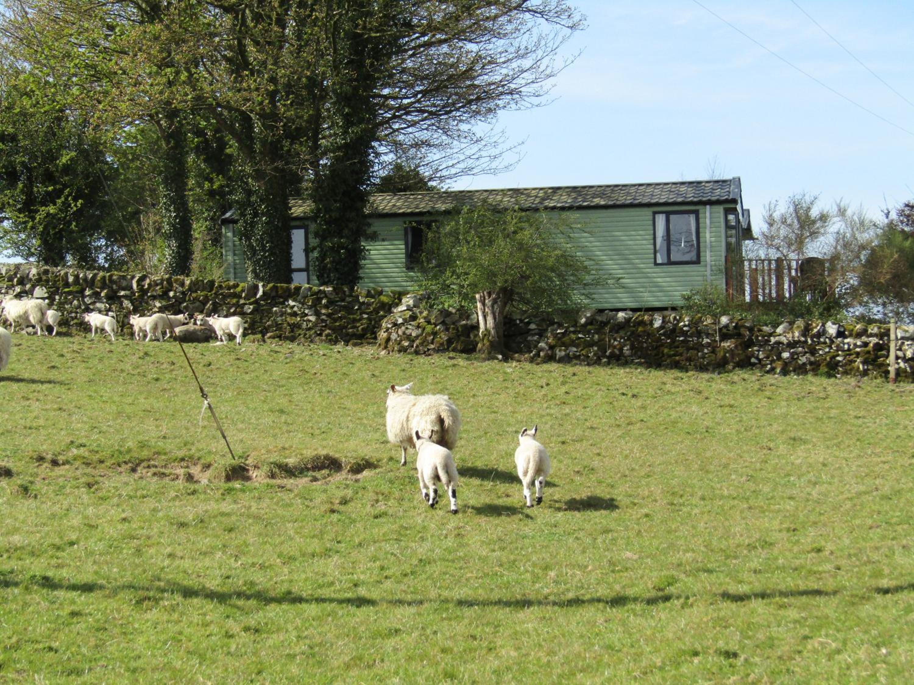 Caravan photo 2