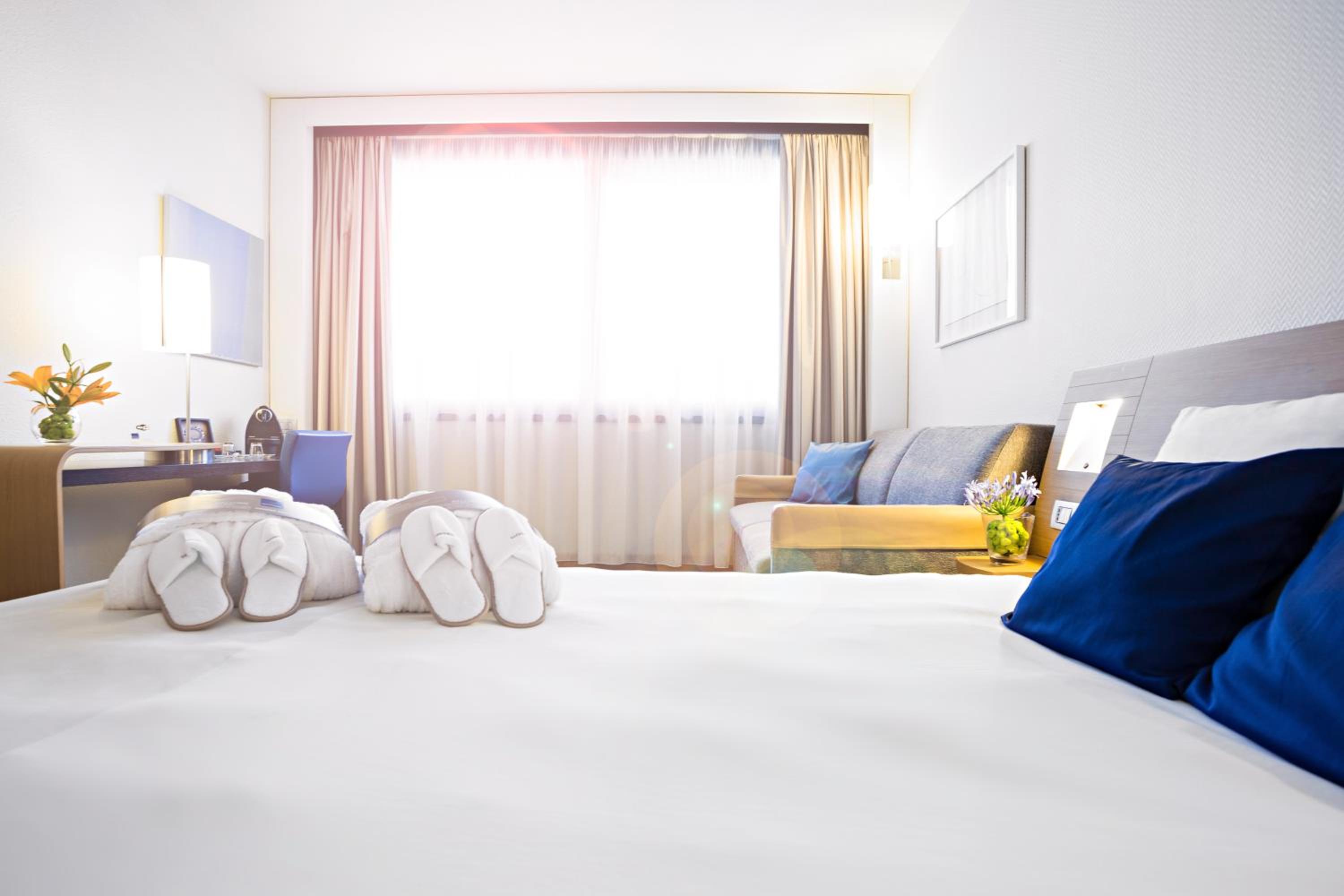 Executive Room with 1 Queen Bed and 1 Sofa