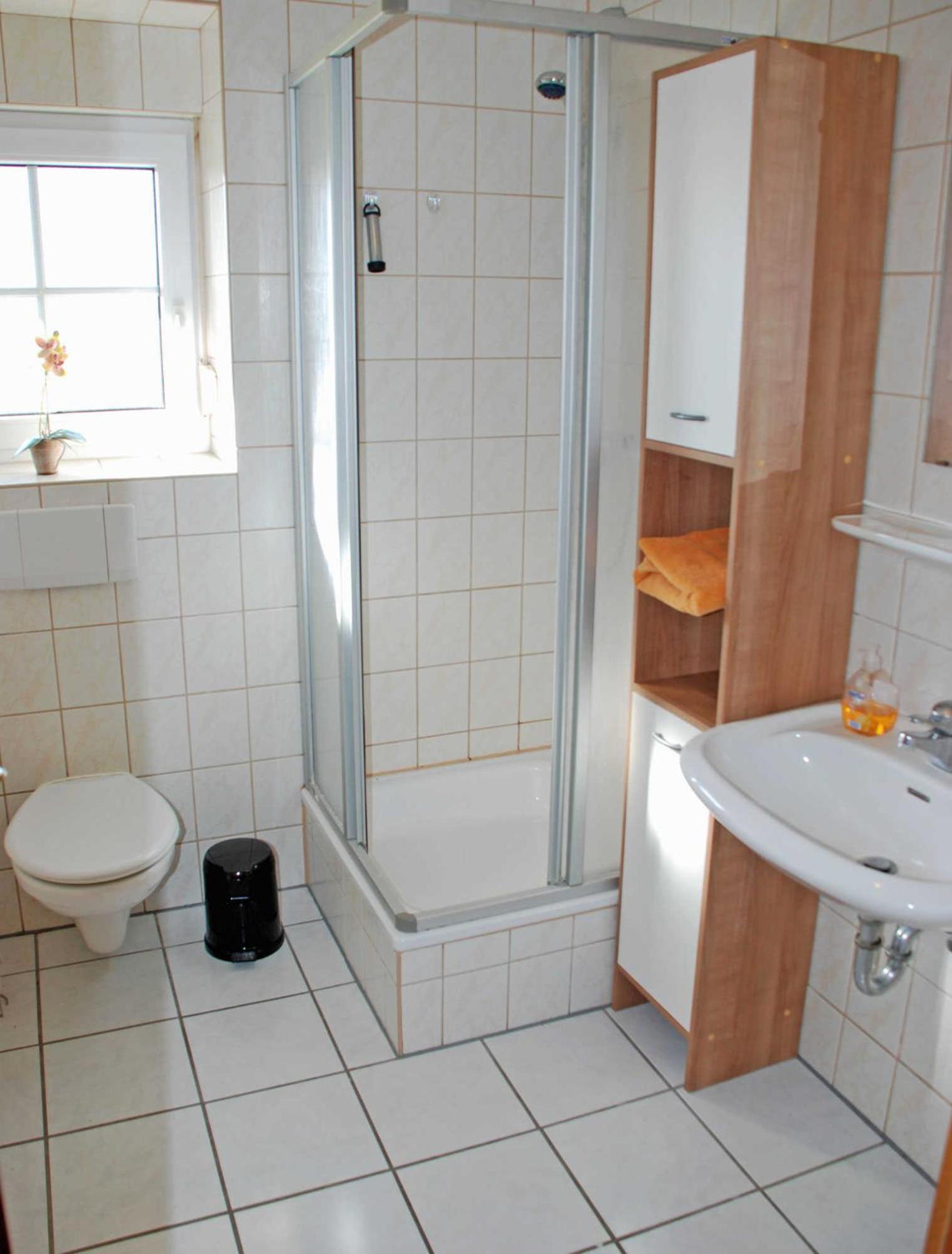 Apartment with Shower photo 3