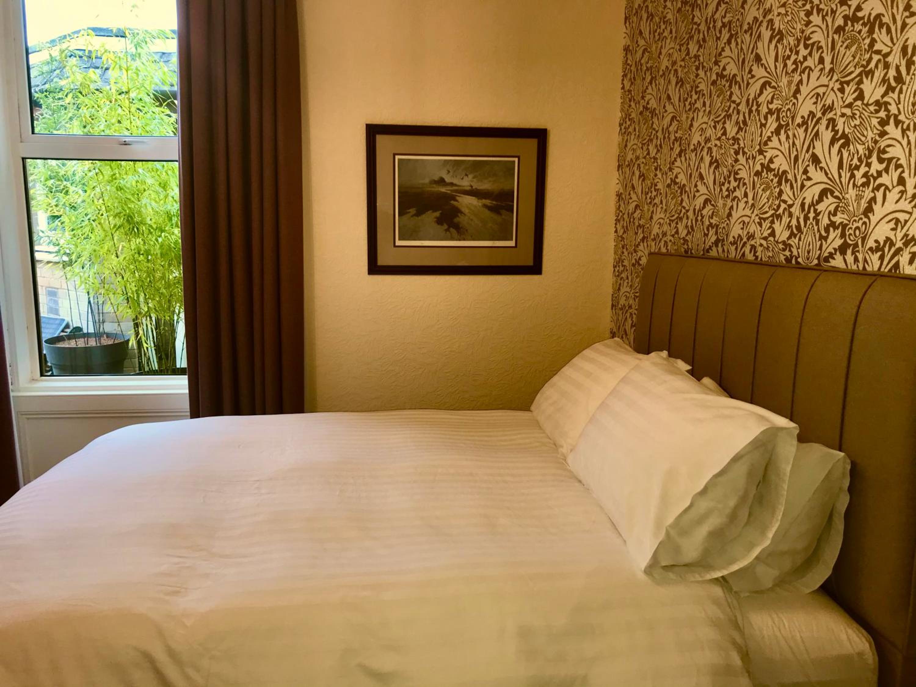 Superior Double or Twin Room photo 2