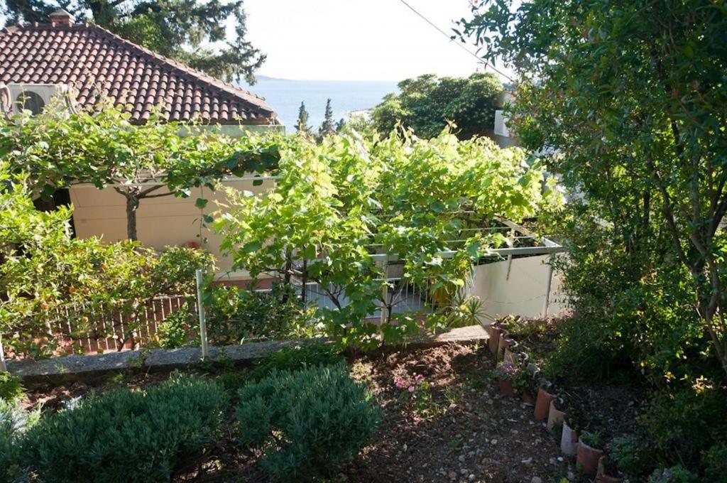 Studio with Terrace and Partial Sea View photo 3