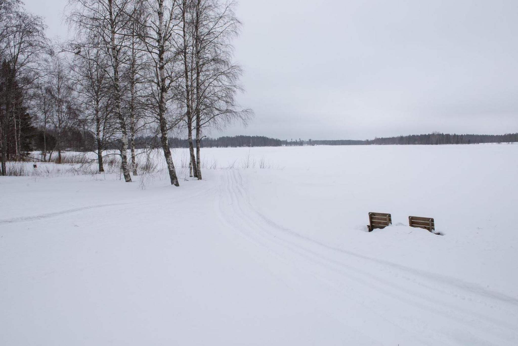 Three-Bedroom Cottage with Sauna - Photo 12