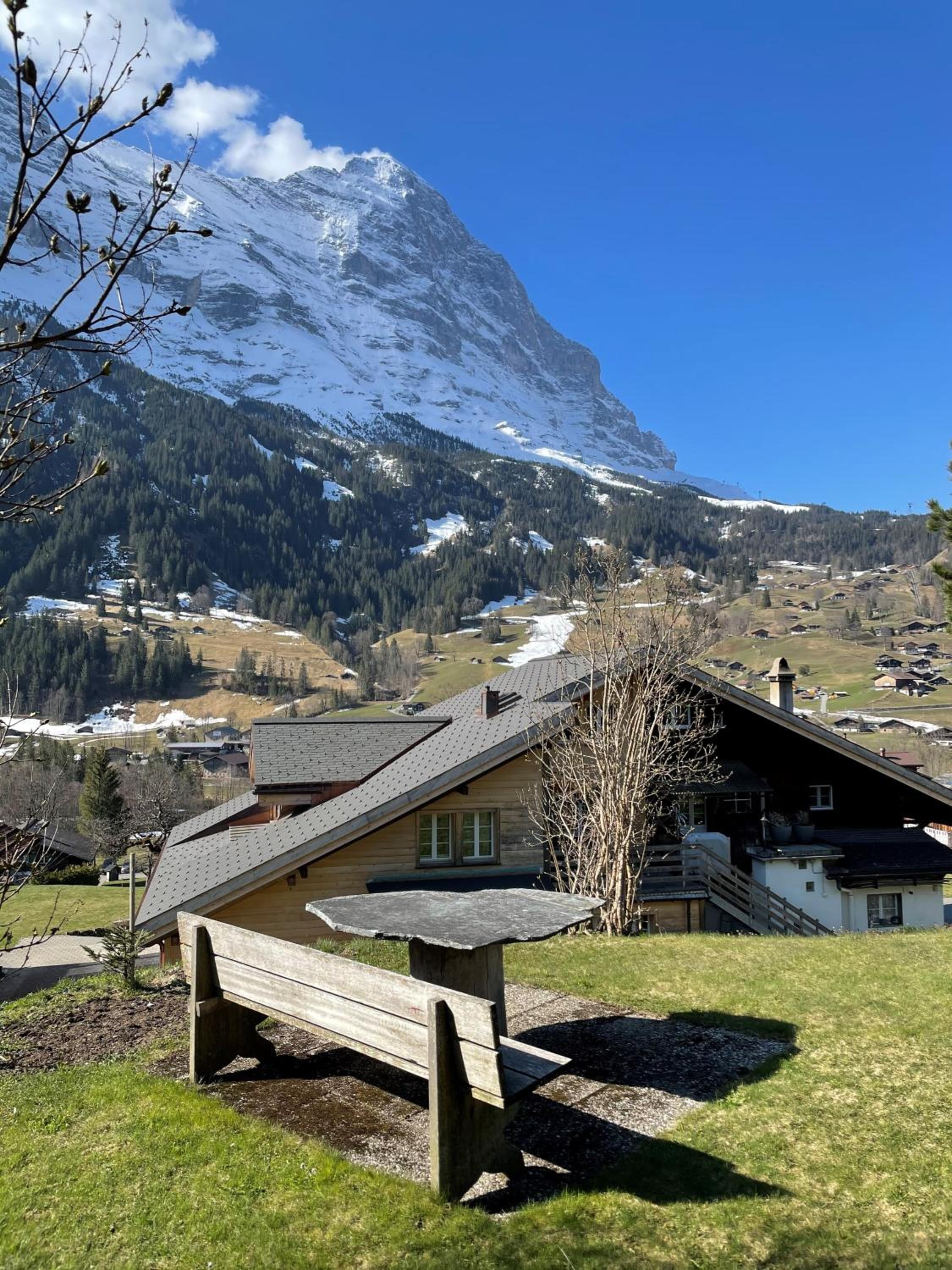 Two-Bedroom Apartment with Eiger View photo 3