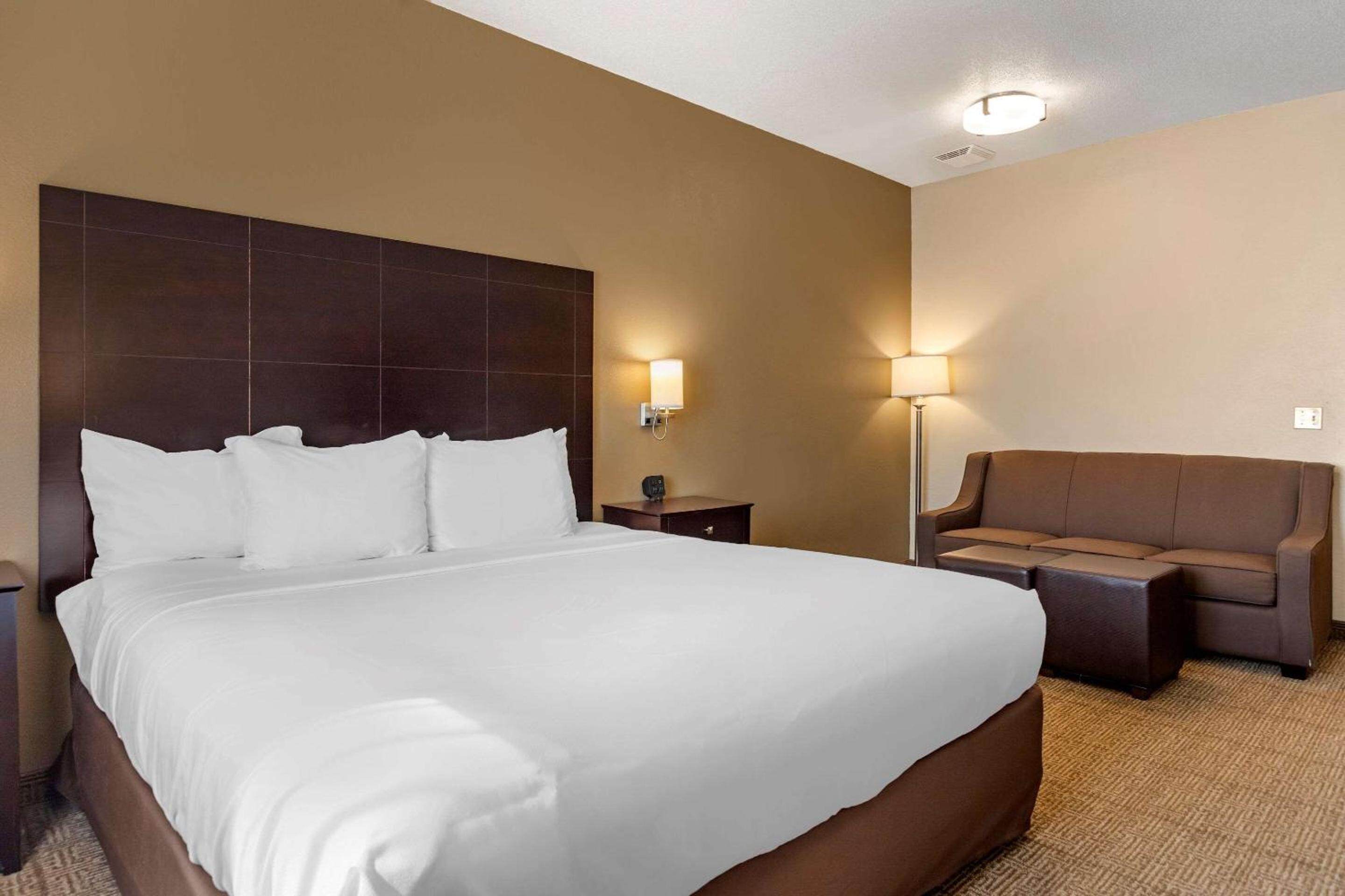King Room with Roll-In Shower - Accessible/Non-Smoking - Photo 1